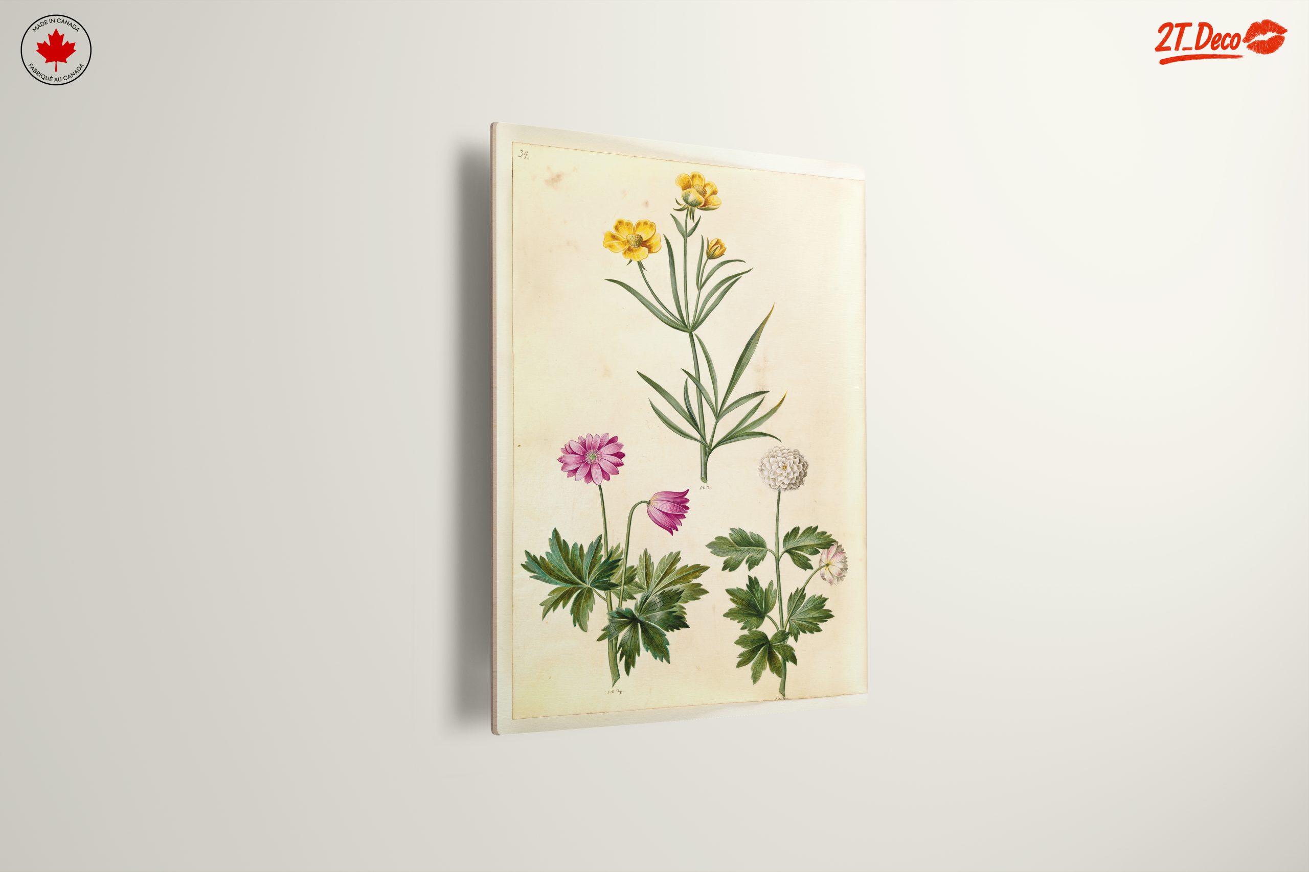 Illustration of Beautiful Botanical Flowers - Image 13