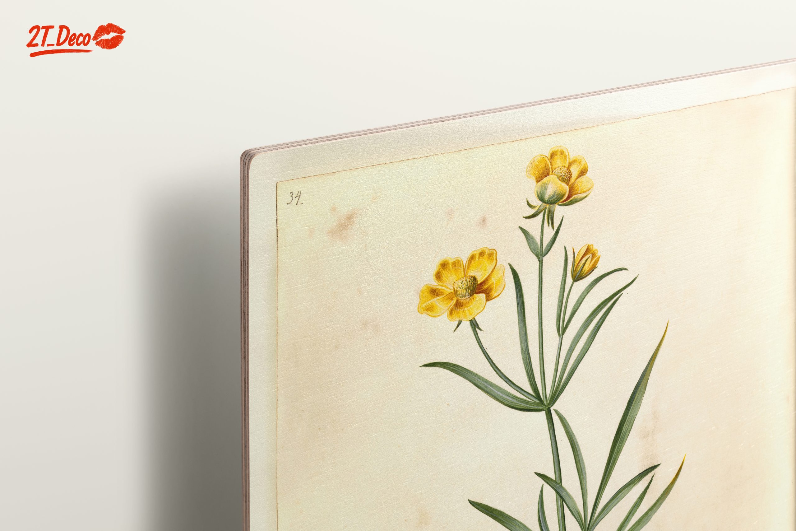 Illustration of Beautiful Botanical Flowers - Image 15