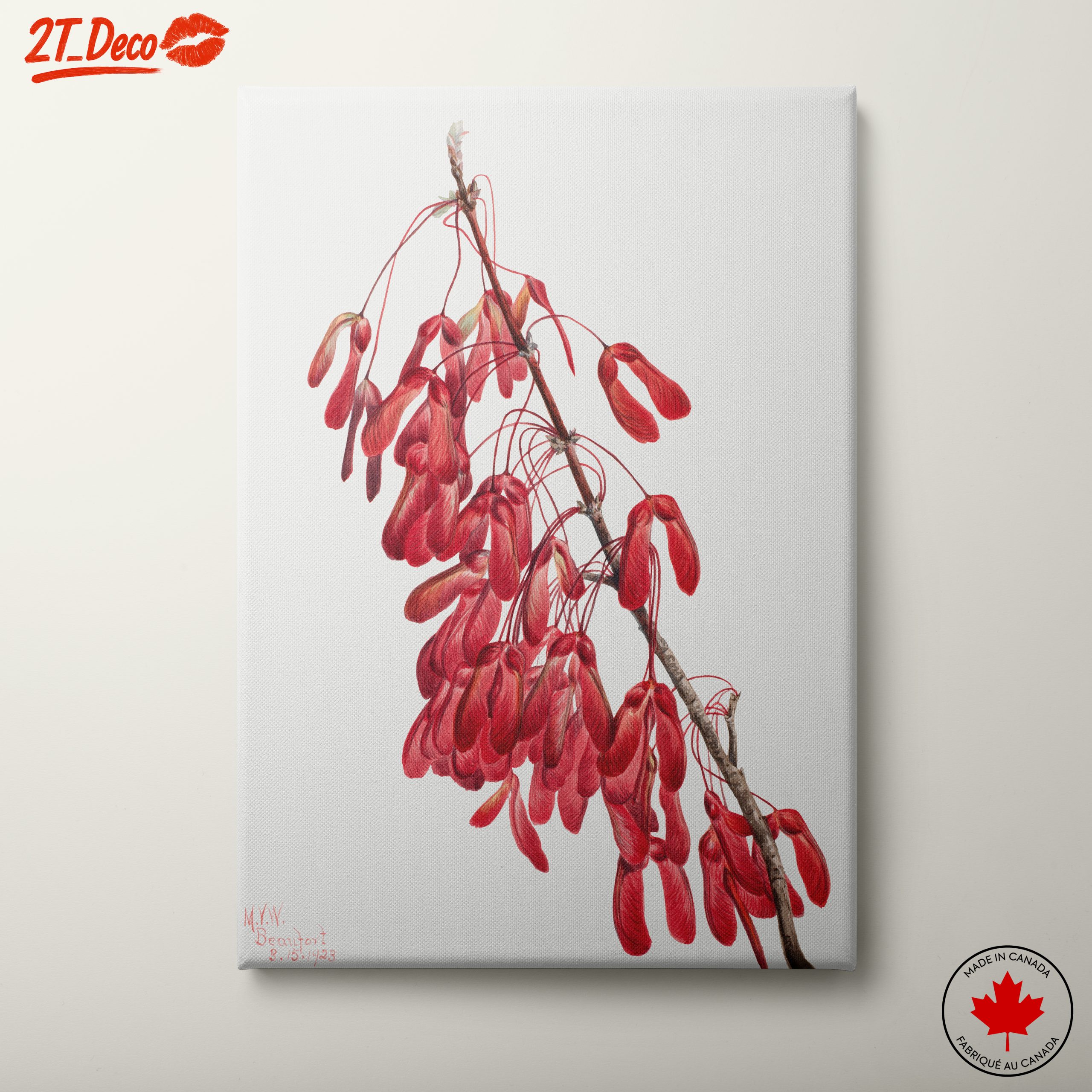 Delicate Floral Arrangement with Red Seeds