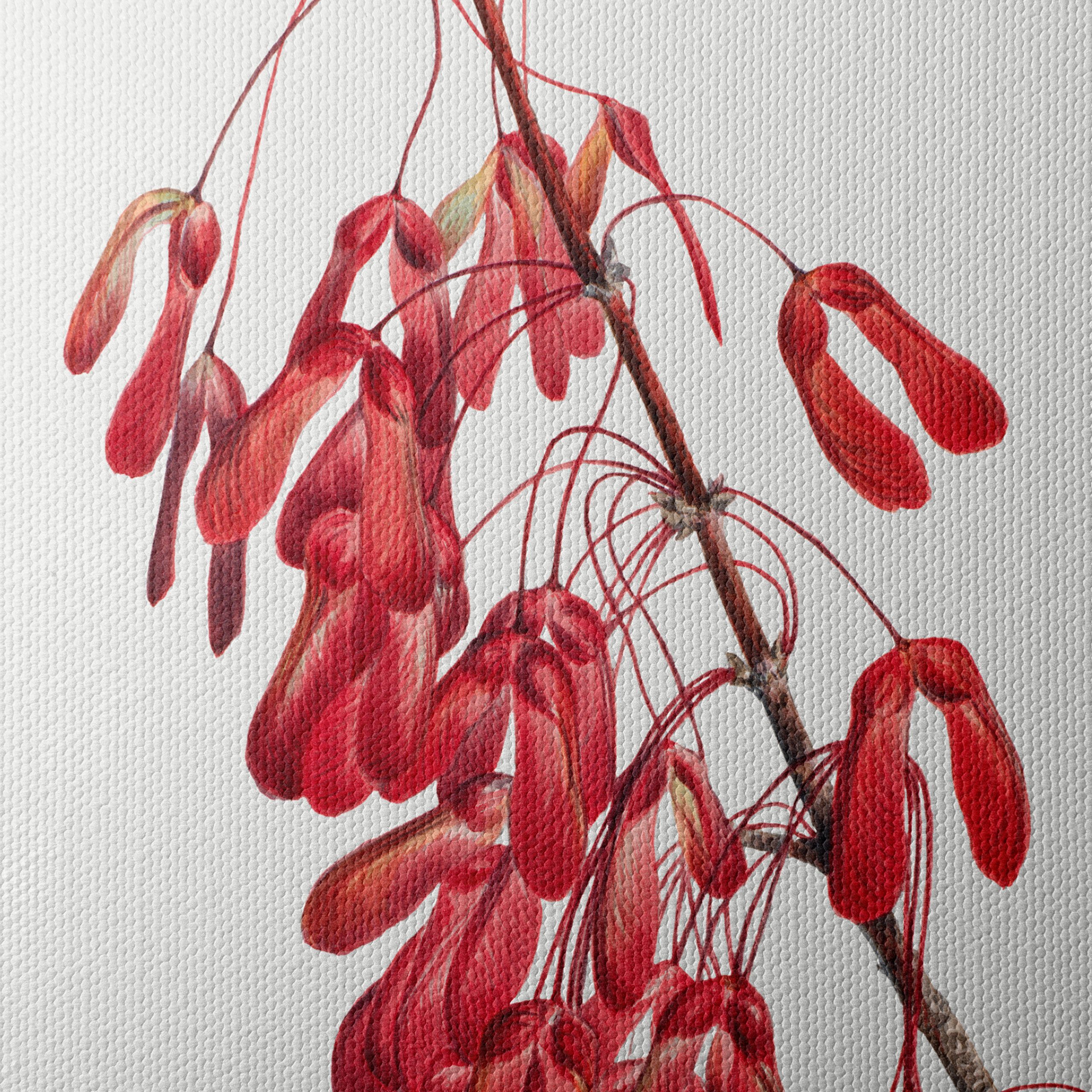Delicate Floral Arrangement with Red Seeds - Image 4