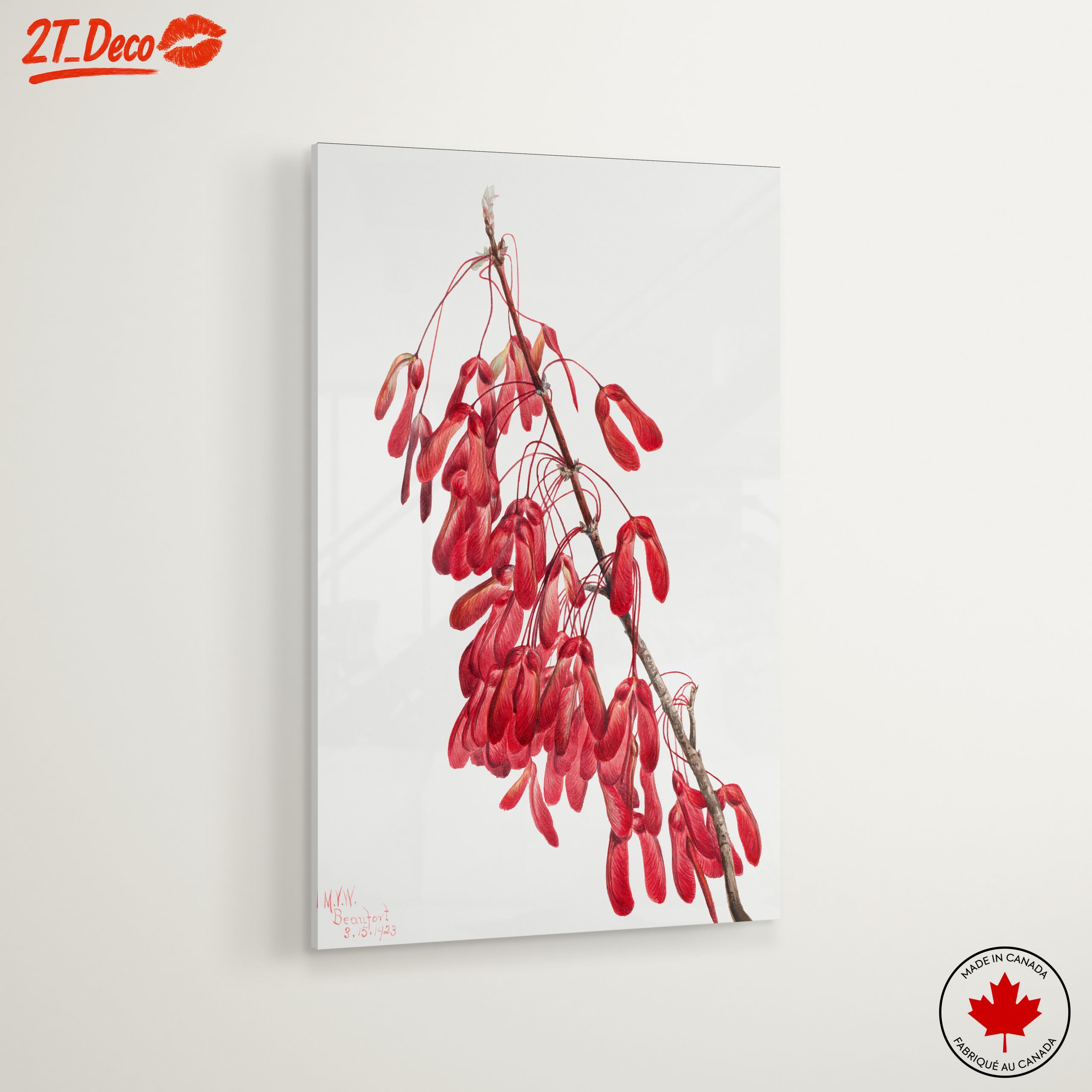 Delicate Floral Arrangement with Red Seeds - Image 6