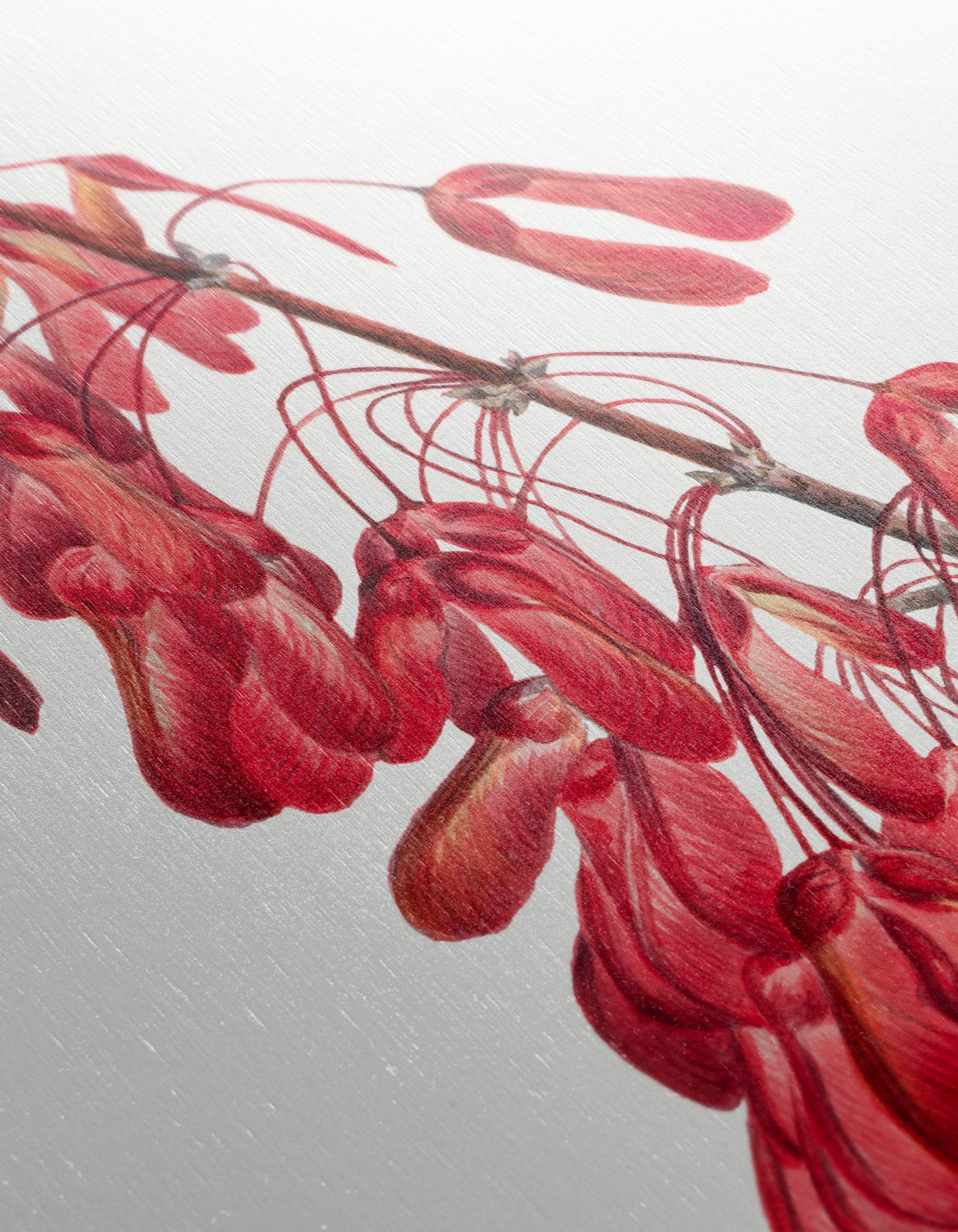 Delicate Floral Arrangement with Red Seeds - Image 12