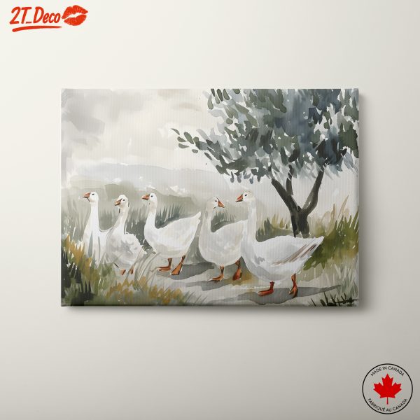 Charming Geese Walking in Nature