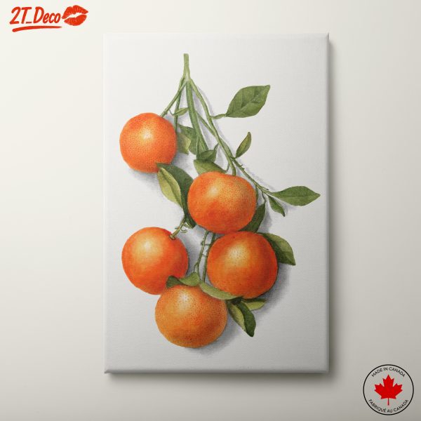 Abstract Art of Oranges with Leaves