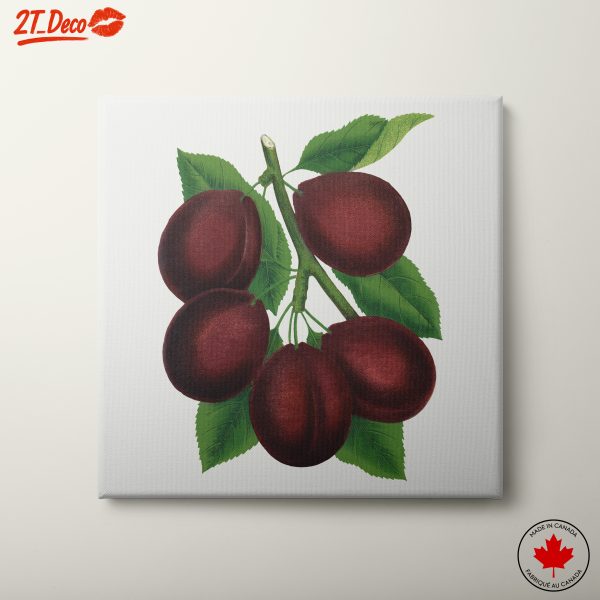 Stylized Plum Branch Illustration