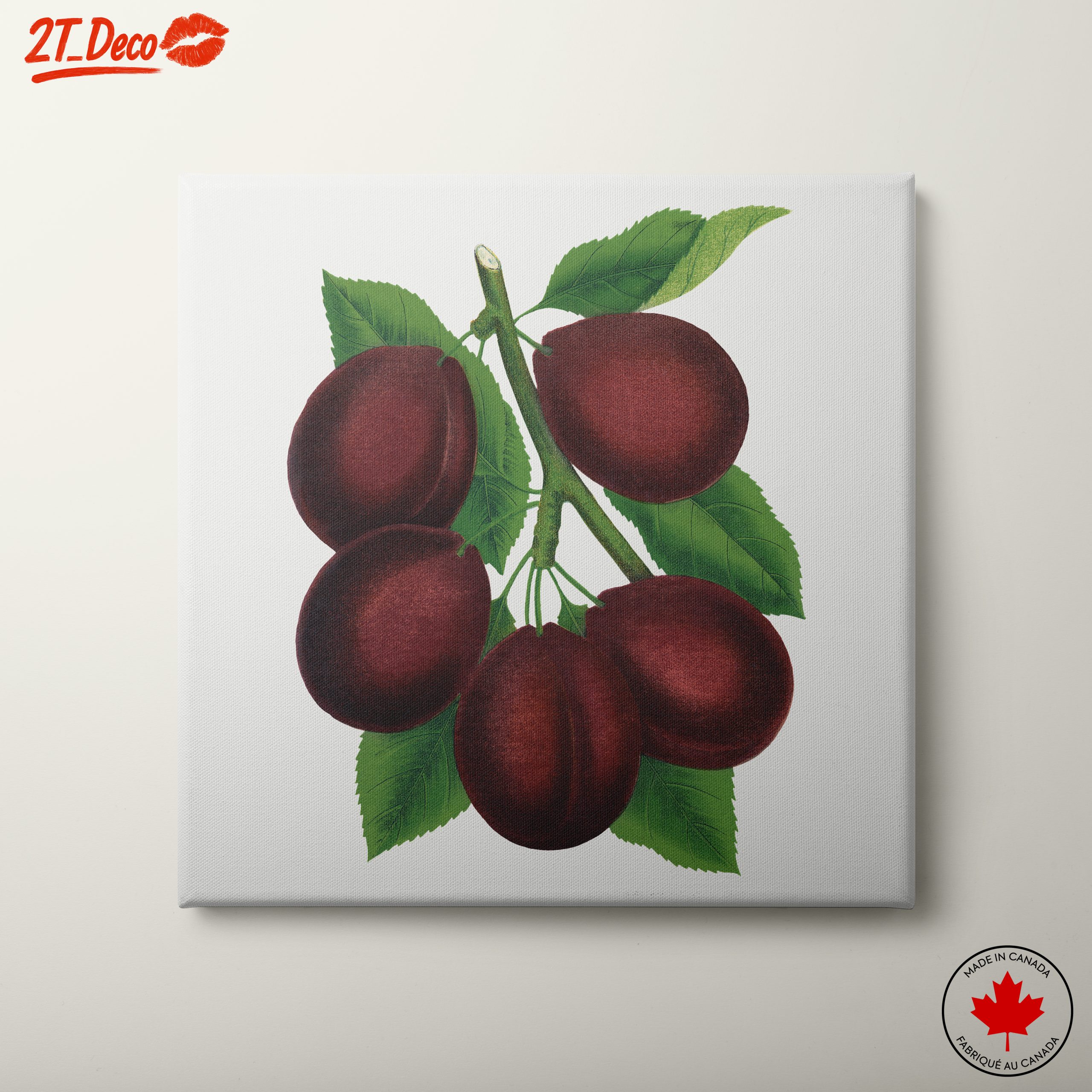 Stylized Plum Branch Illustration