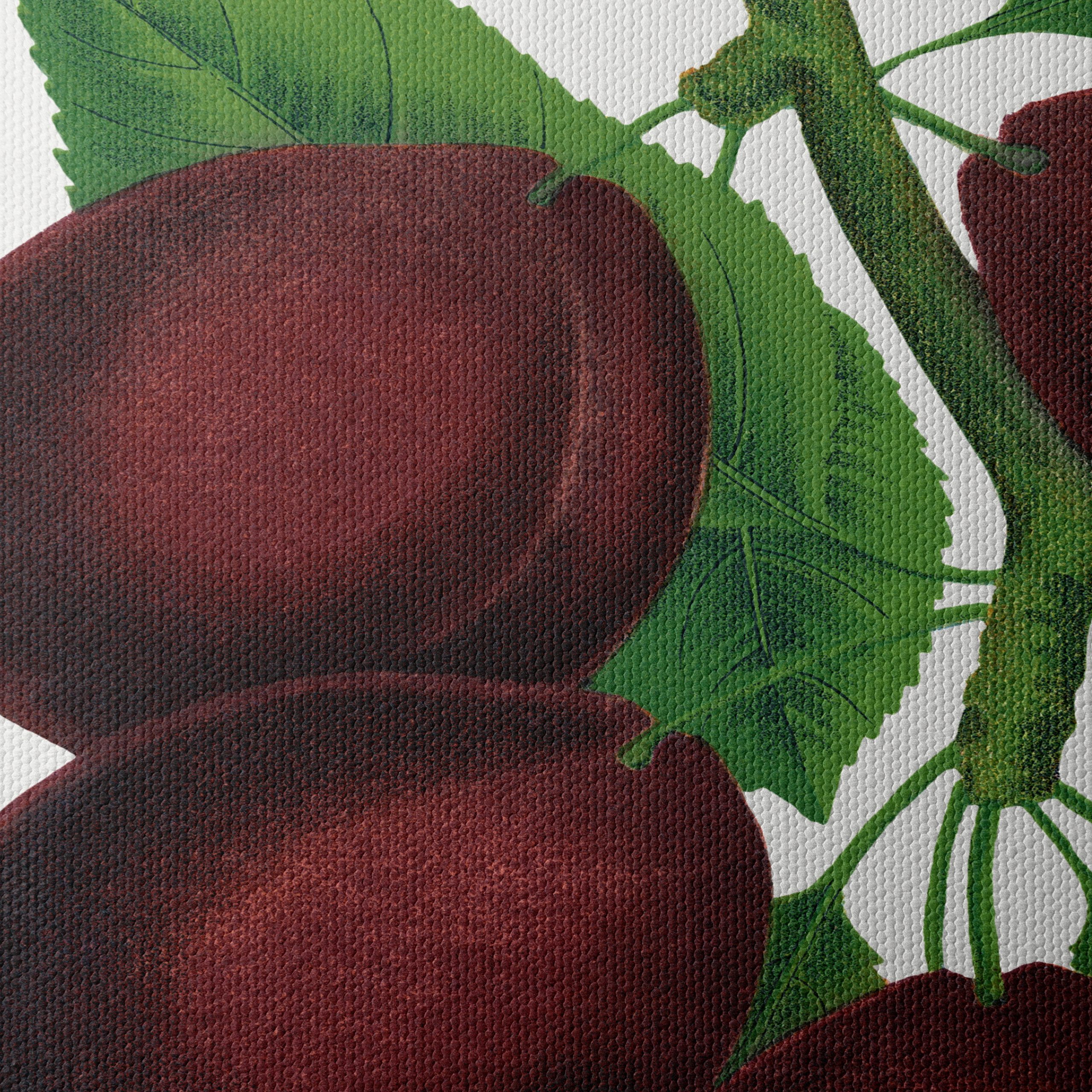 Stylized Plum Branch Illustration - Image 4