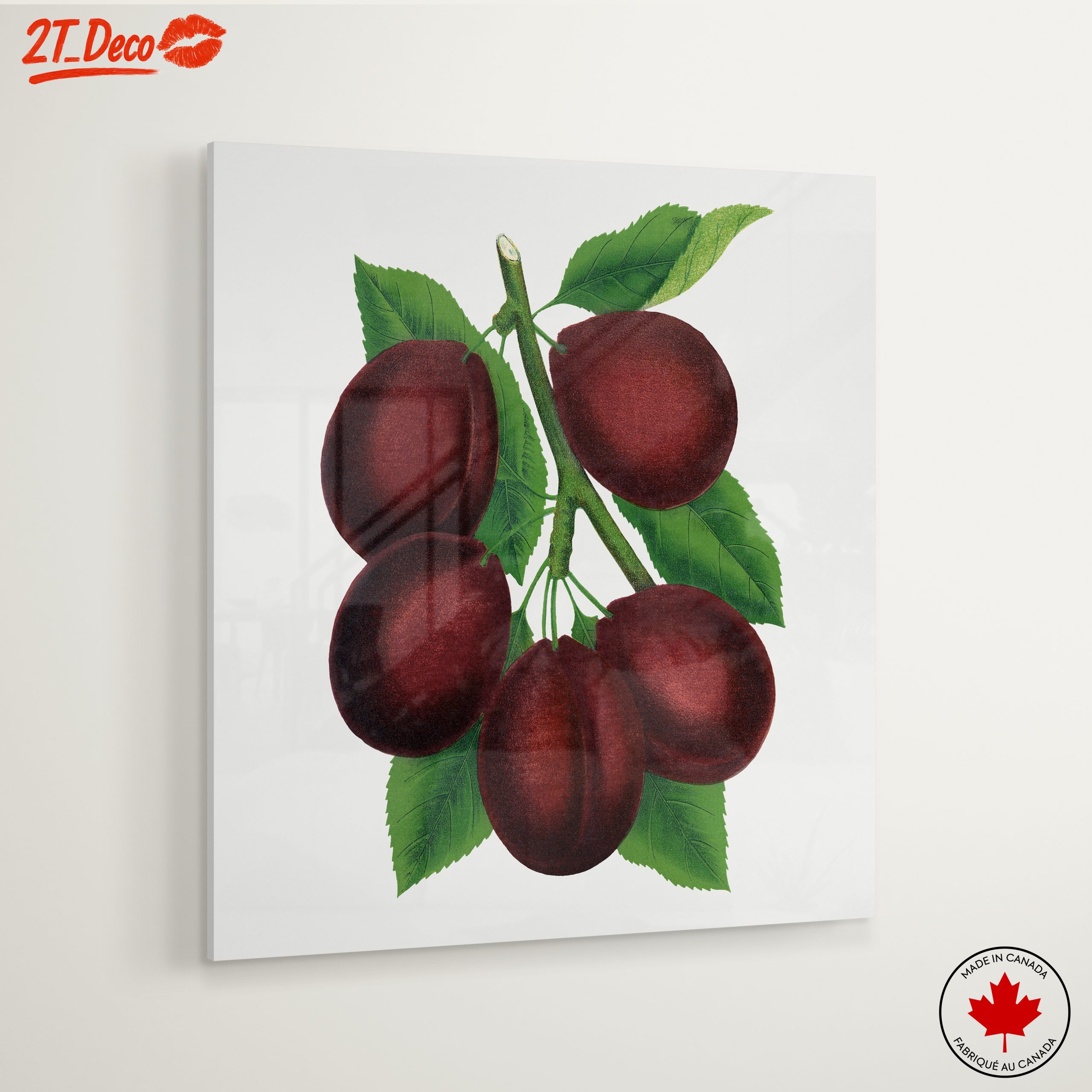Stylized Plum Branch Illustration - Image 6