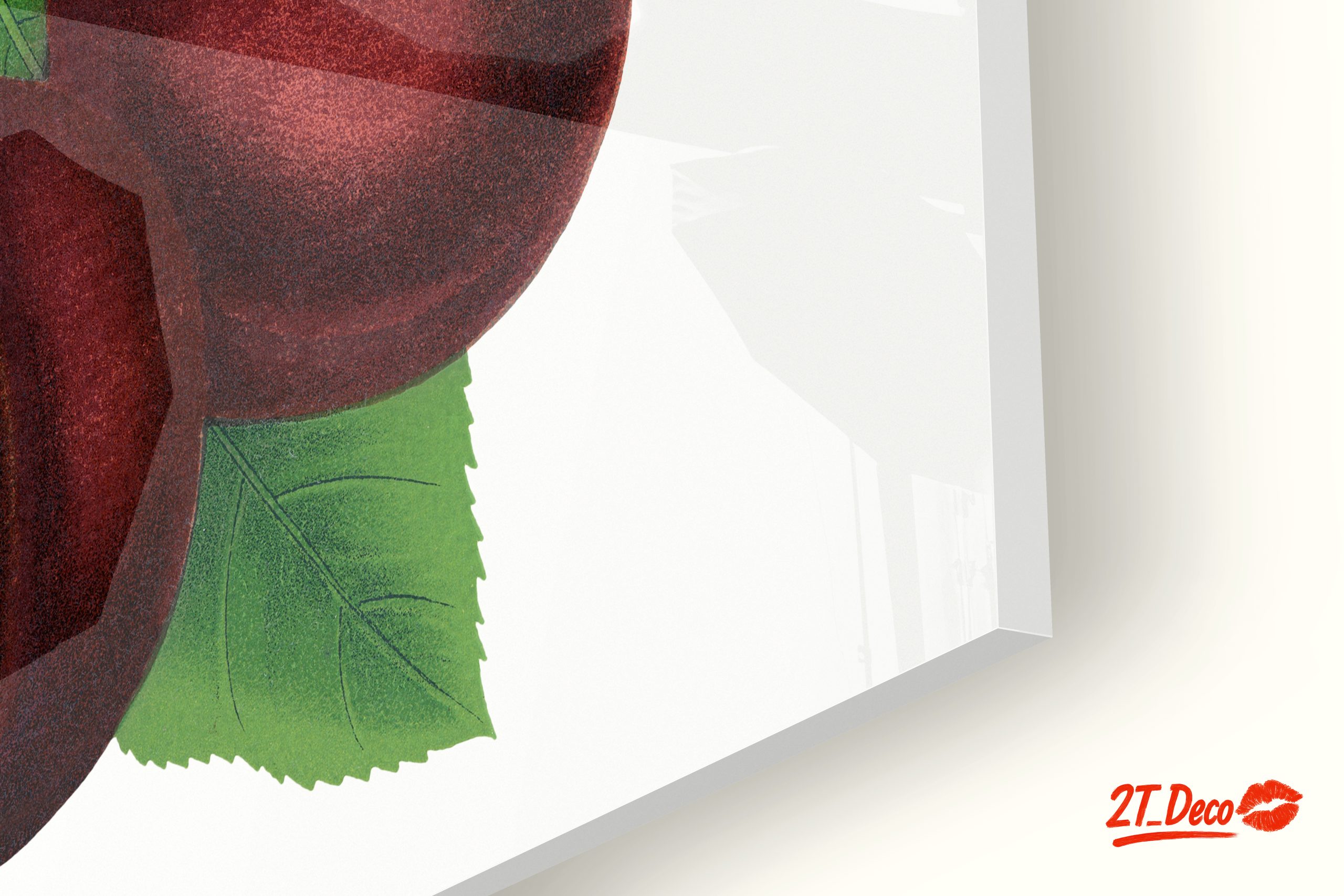 Stylized Plum Branch Illustration - Image 9