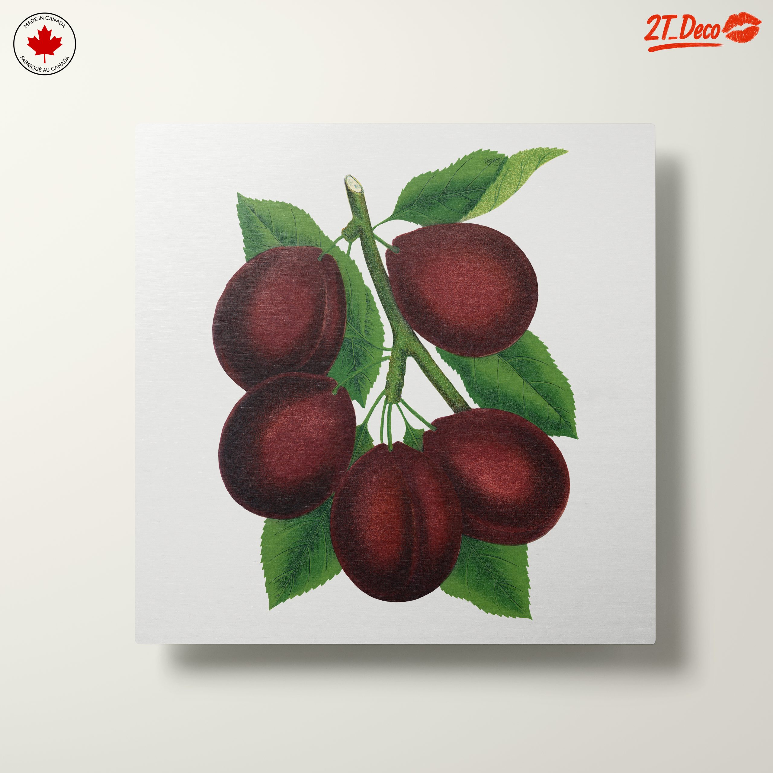Stylized Plum Branch Illustration - Image 10