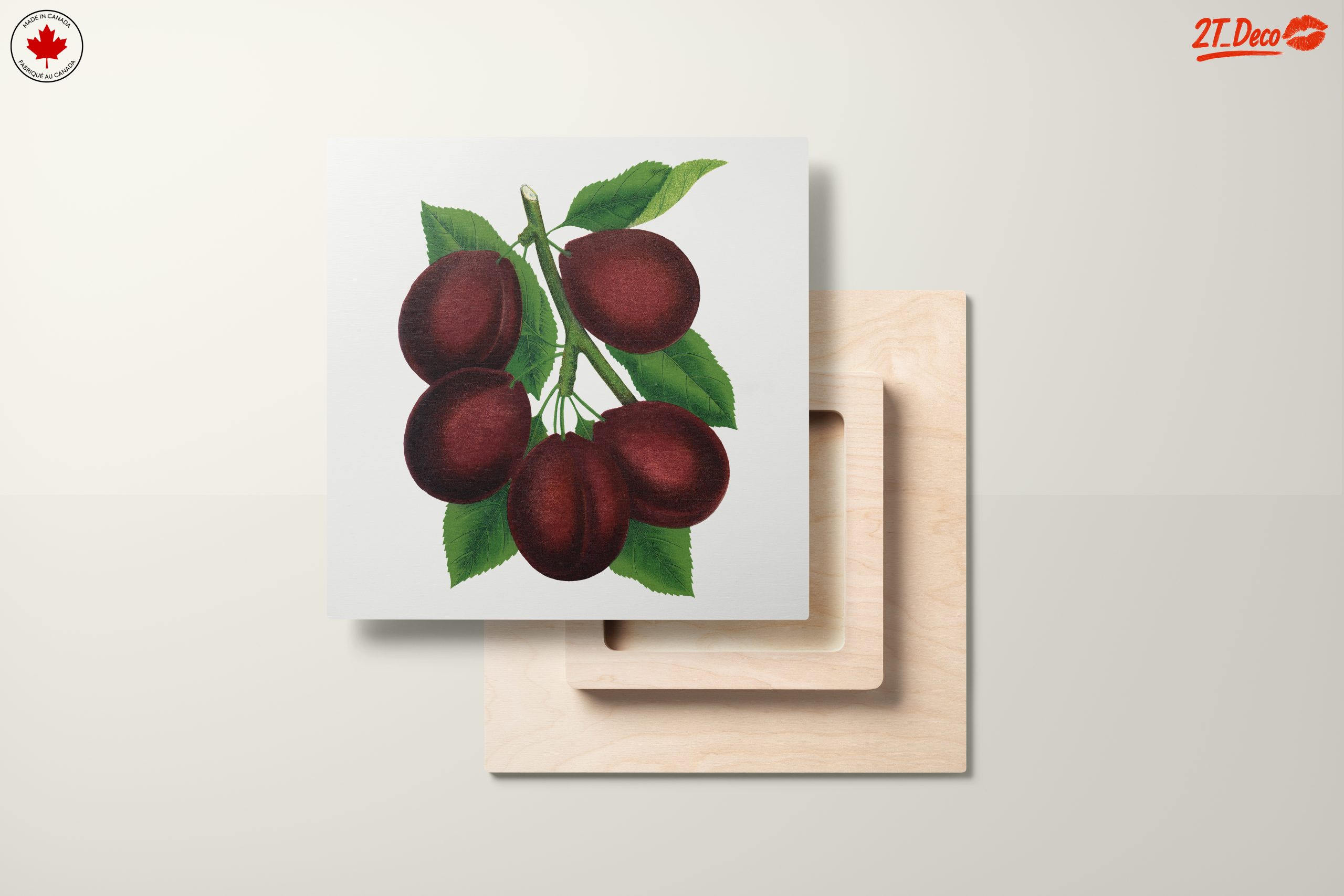Stylized Plum Branch Illustration - Image 11