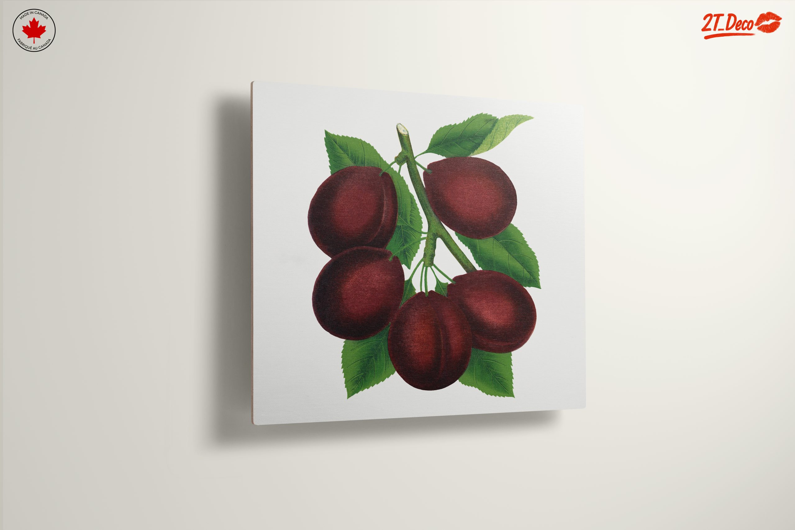 Stylized Plum Branch Illustration - Image 13
