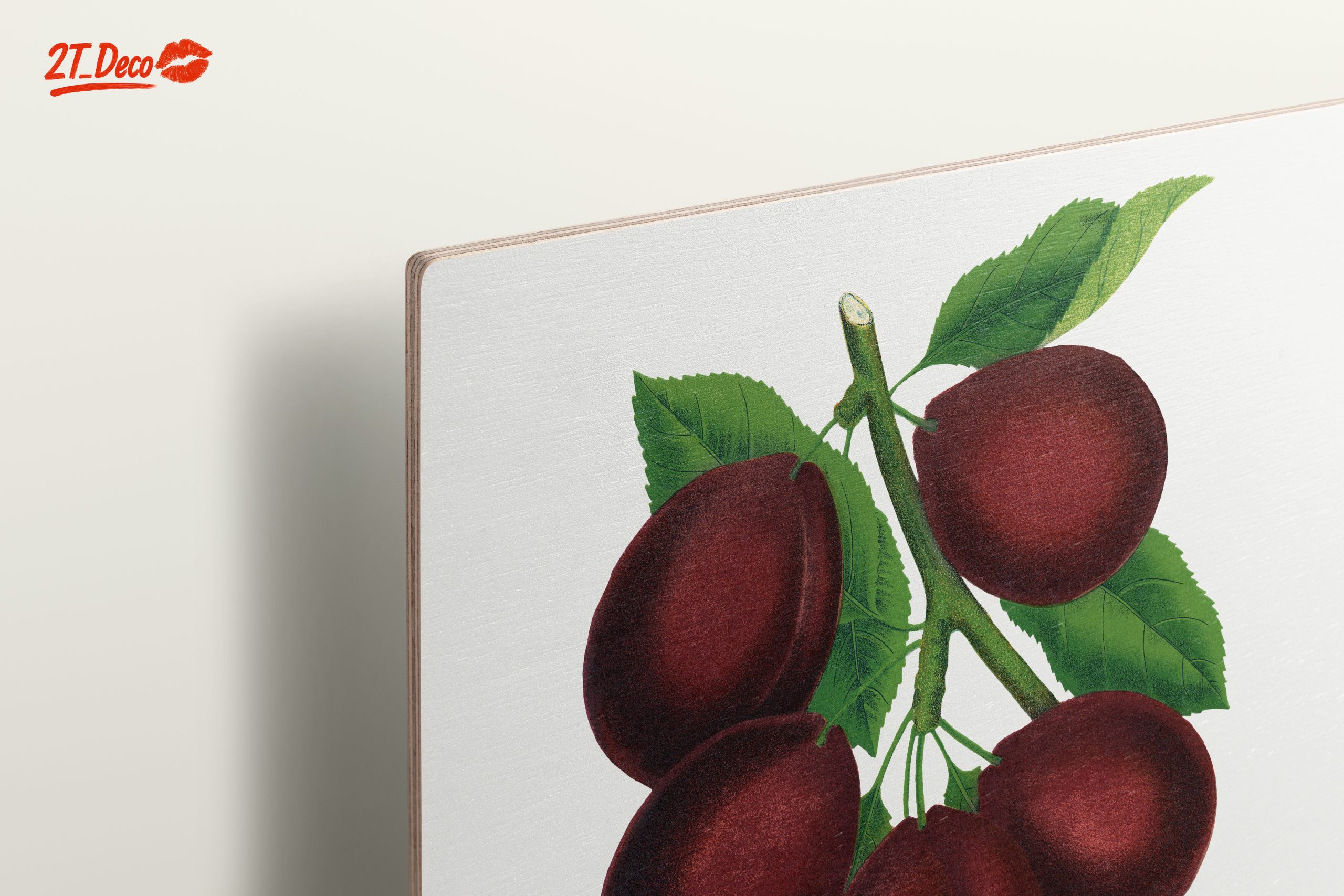 Stylized Plum Branch Illustration - Image 15