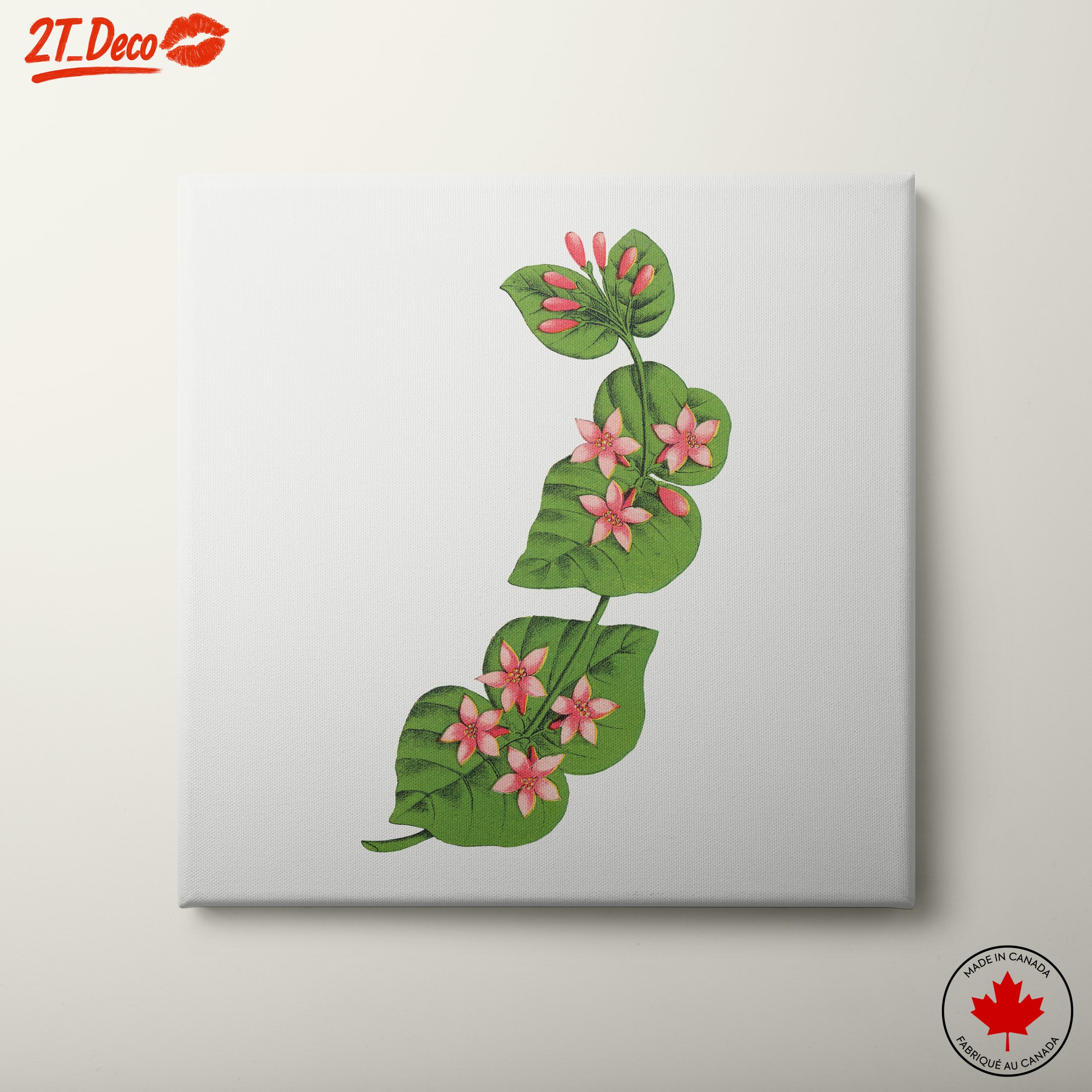 Delicate Botanical Illustration of Flowers and Leaves