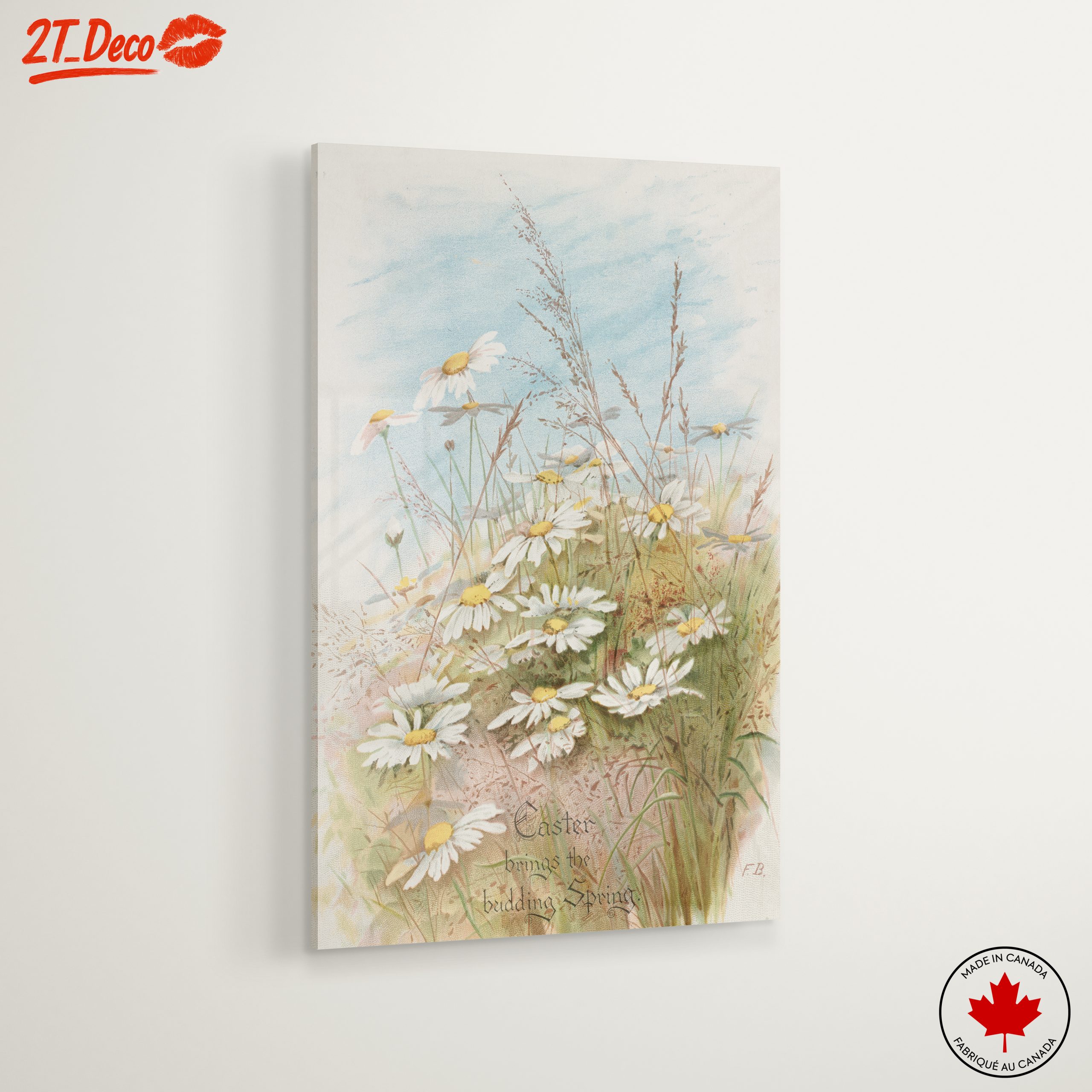 Fresh Daisies in Bloom with Grass - Image 6