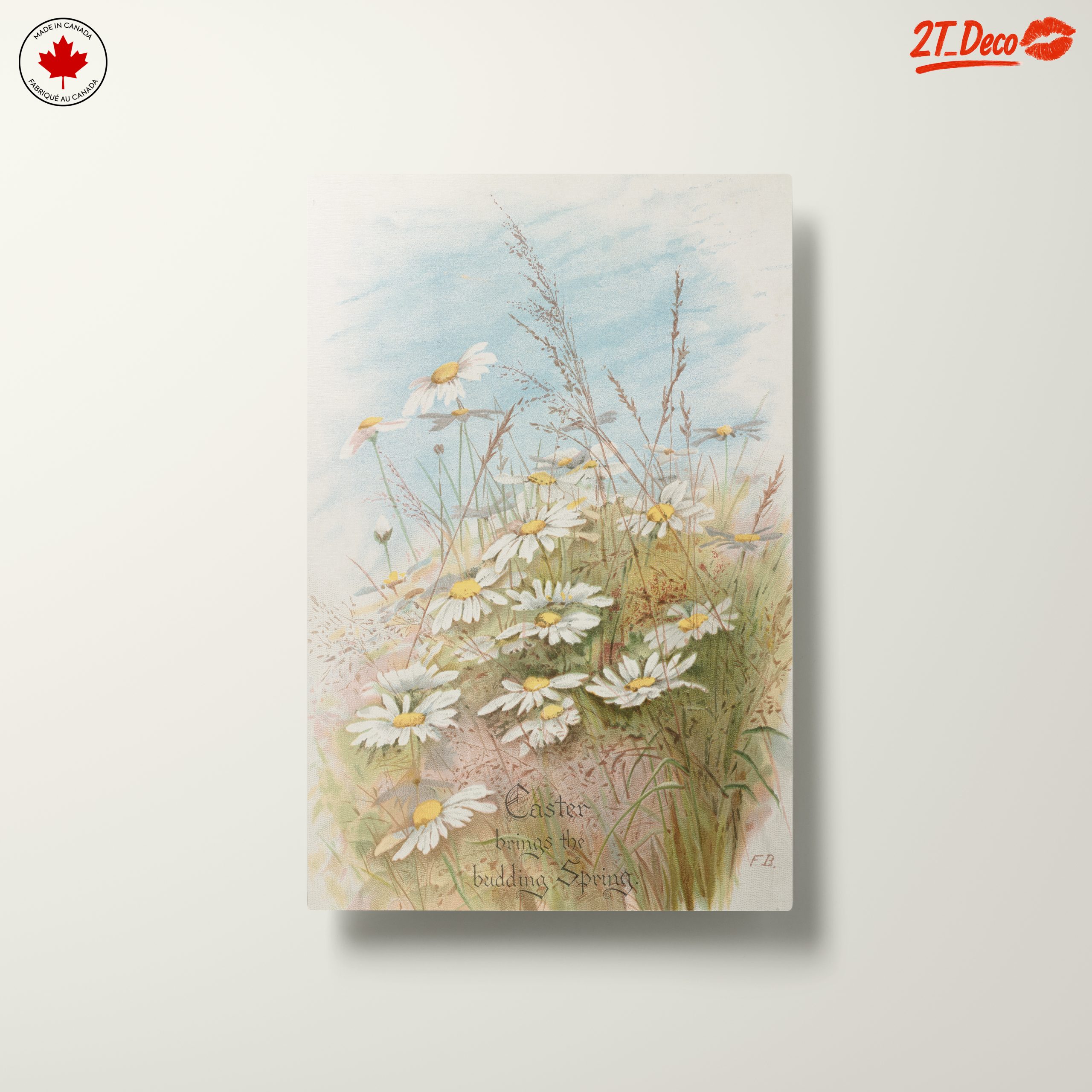 Fresh Daisies in Bloom with Grass - Image 10