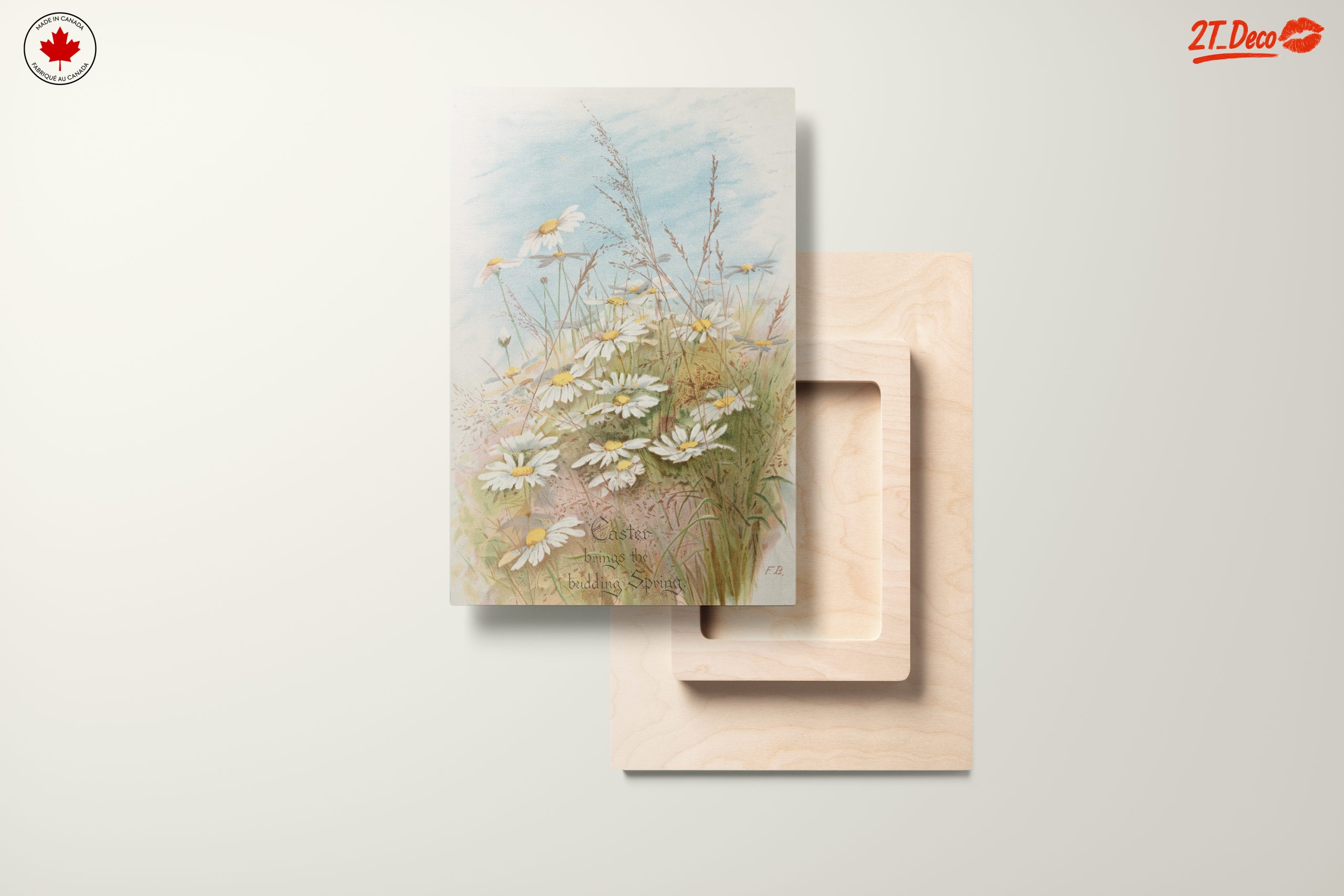 Fresh Daisies in Bloom with Grass - Image 11