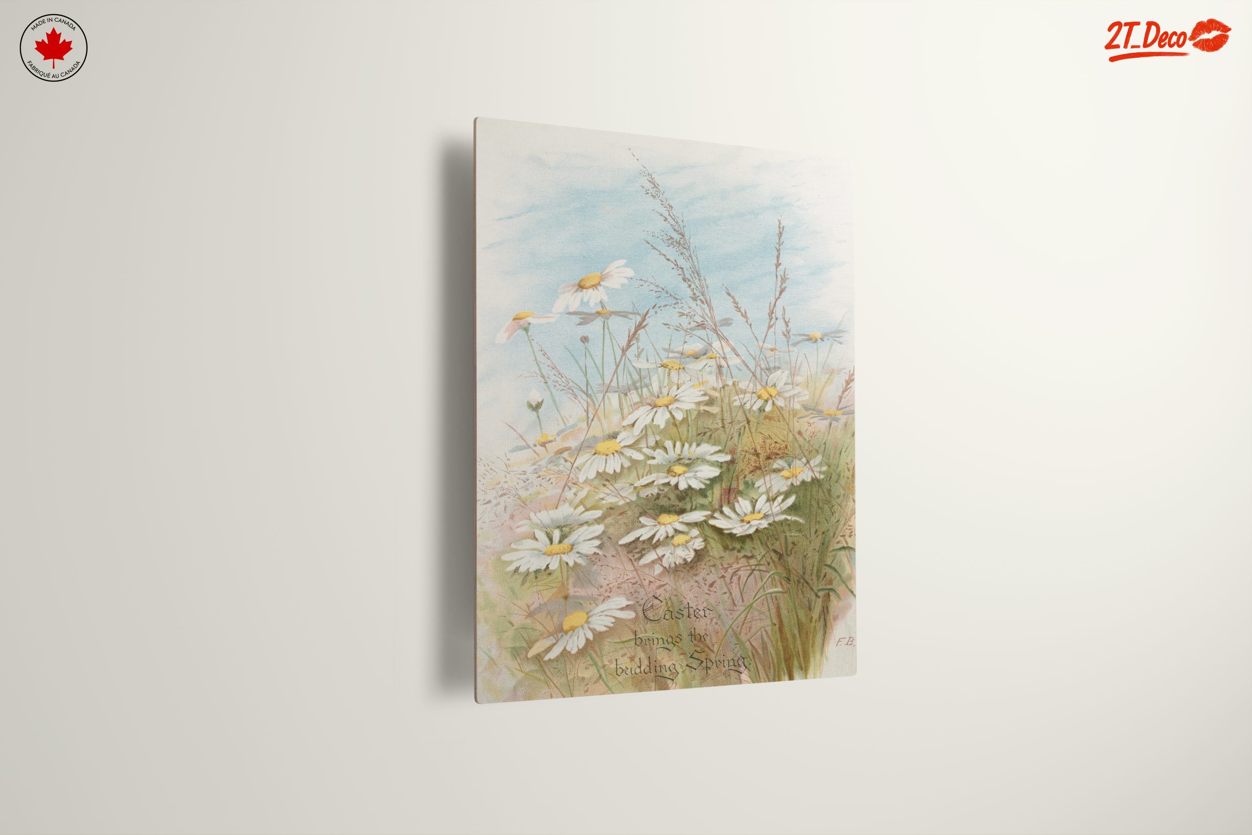 Fresh Daisies in Bloom with Grass - Image 13