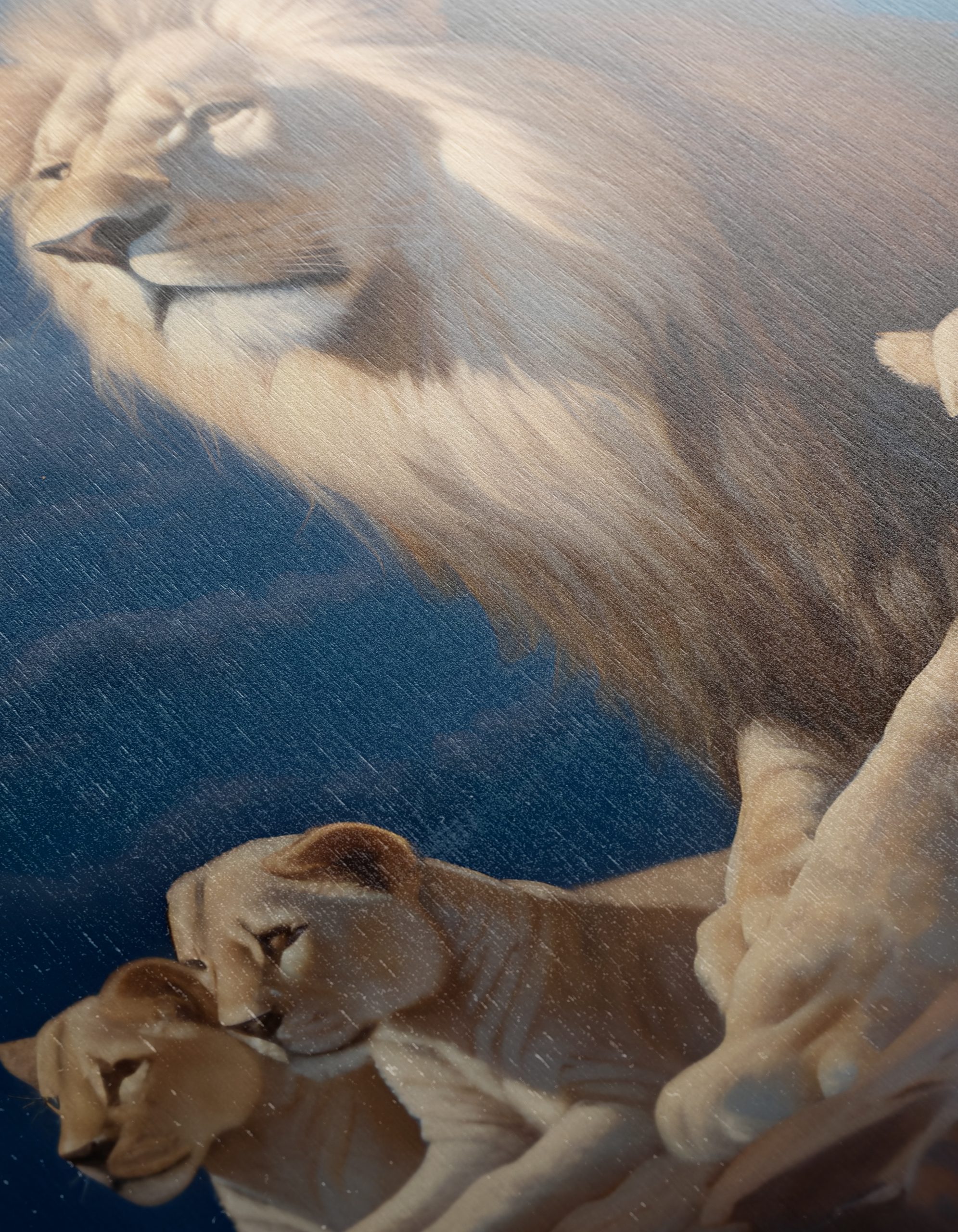 Majestic Lion Family Under Moonlight - Image 12