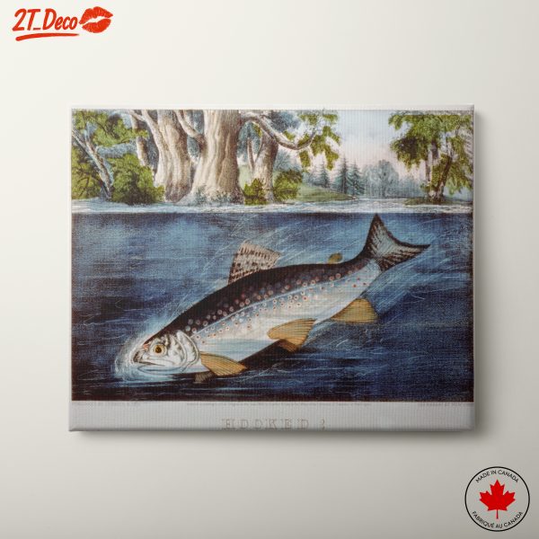 Hooked Trout Swimming in a Serene Lake