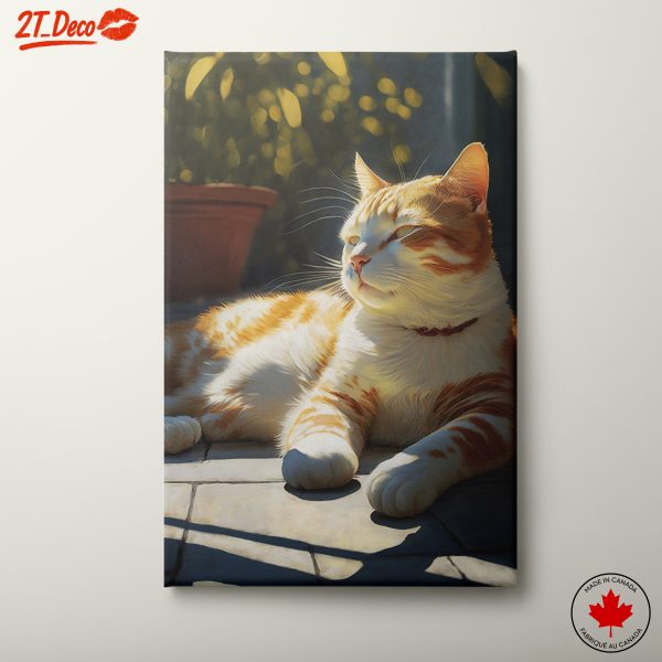 Charming Cat in Sunlight
