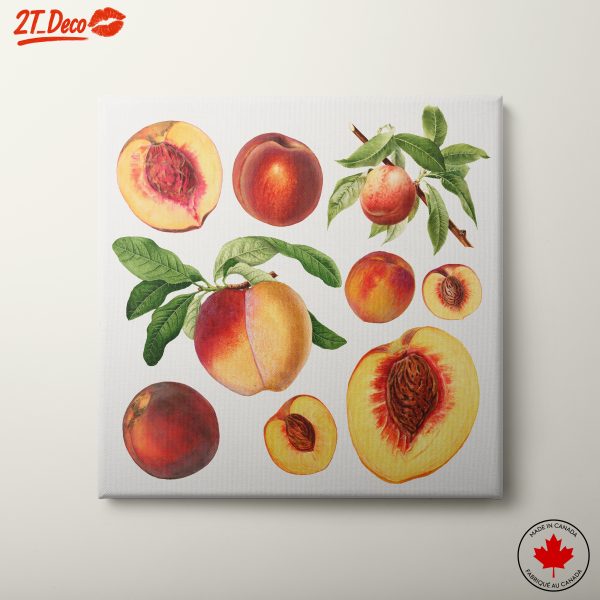 Colorful Peach Abstract Artwork