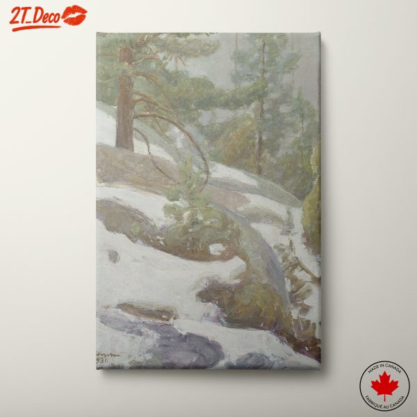 Serene Winter Landscape with Trees 2