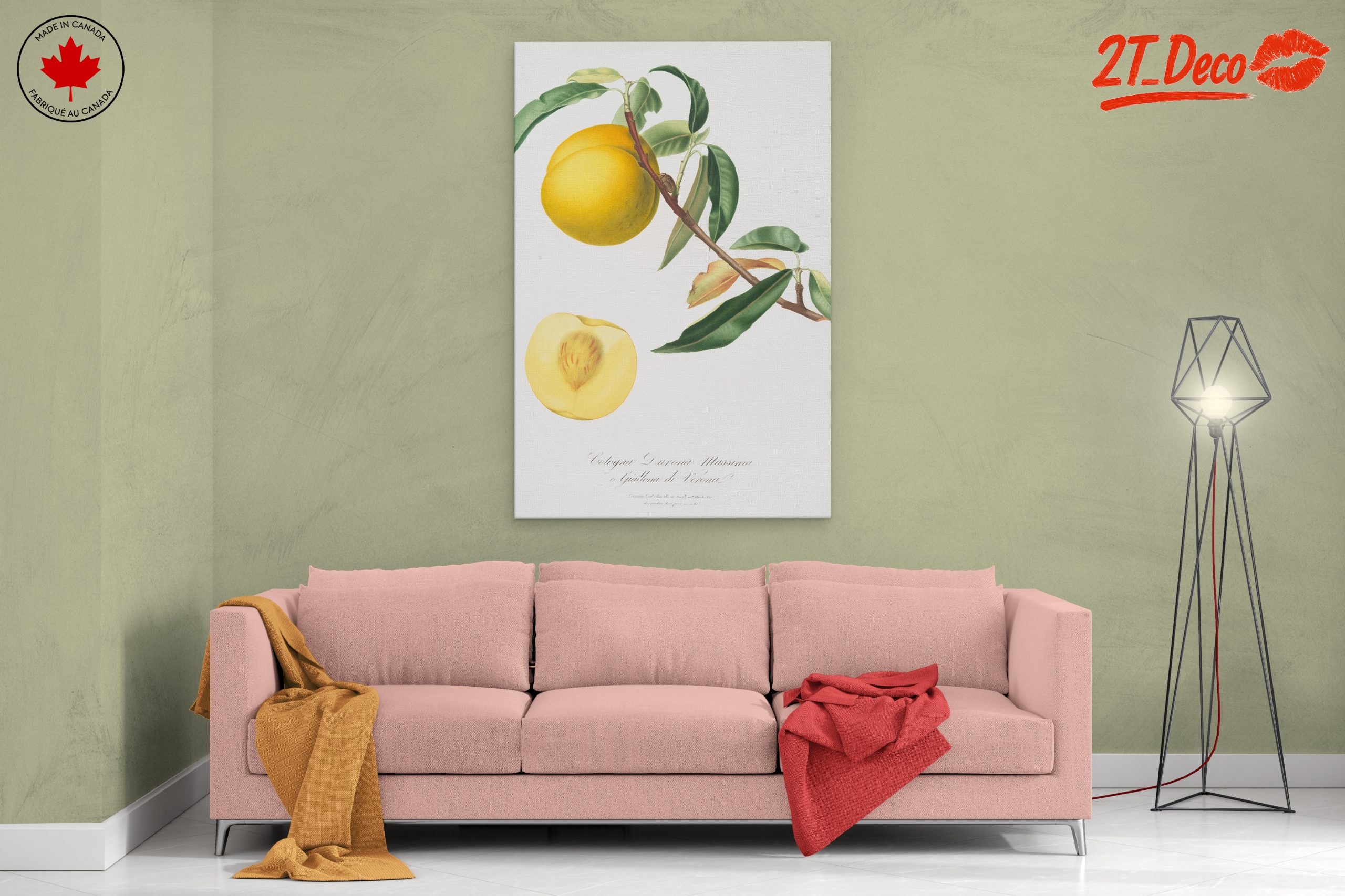 Botanical Fruit Illustration in Vibrant Colors - Image 2
