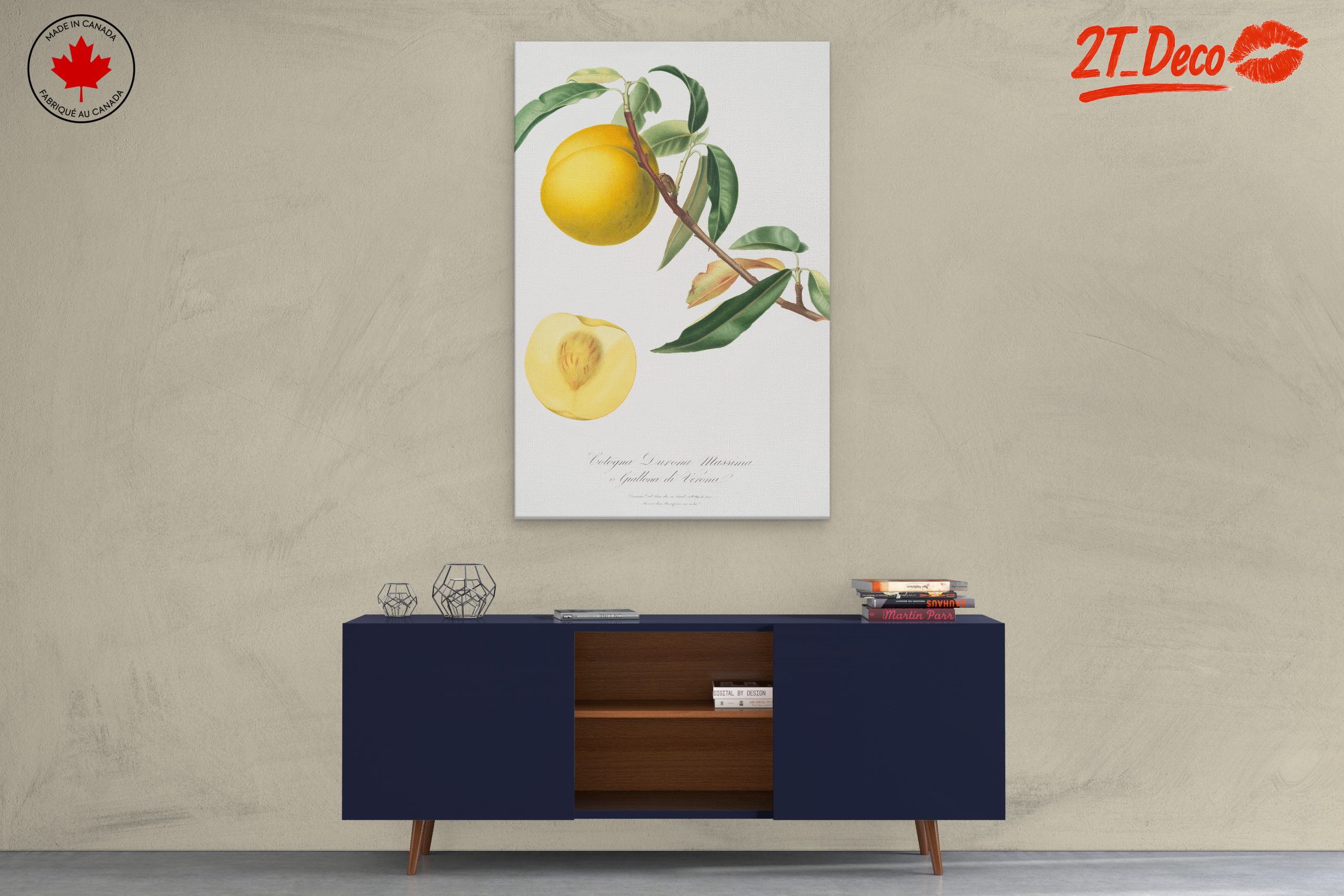 Botanical Fruit Illustration in Vibrant Colors - Image 3