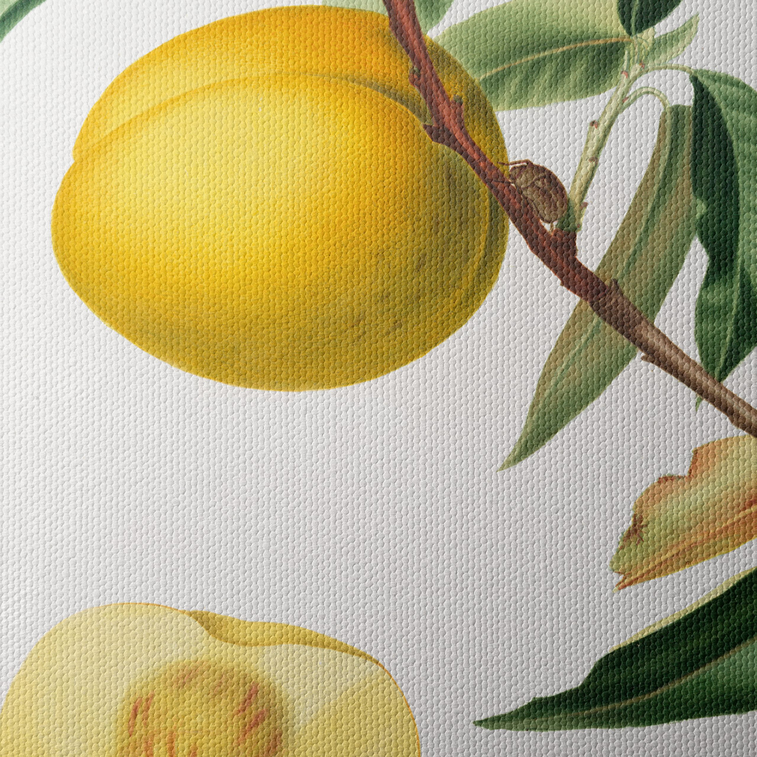 Botanical Fruit Illustration in Vibrant Colors - Image 4