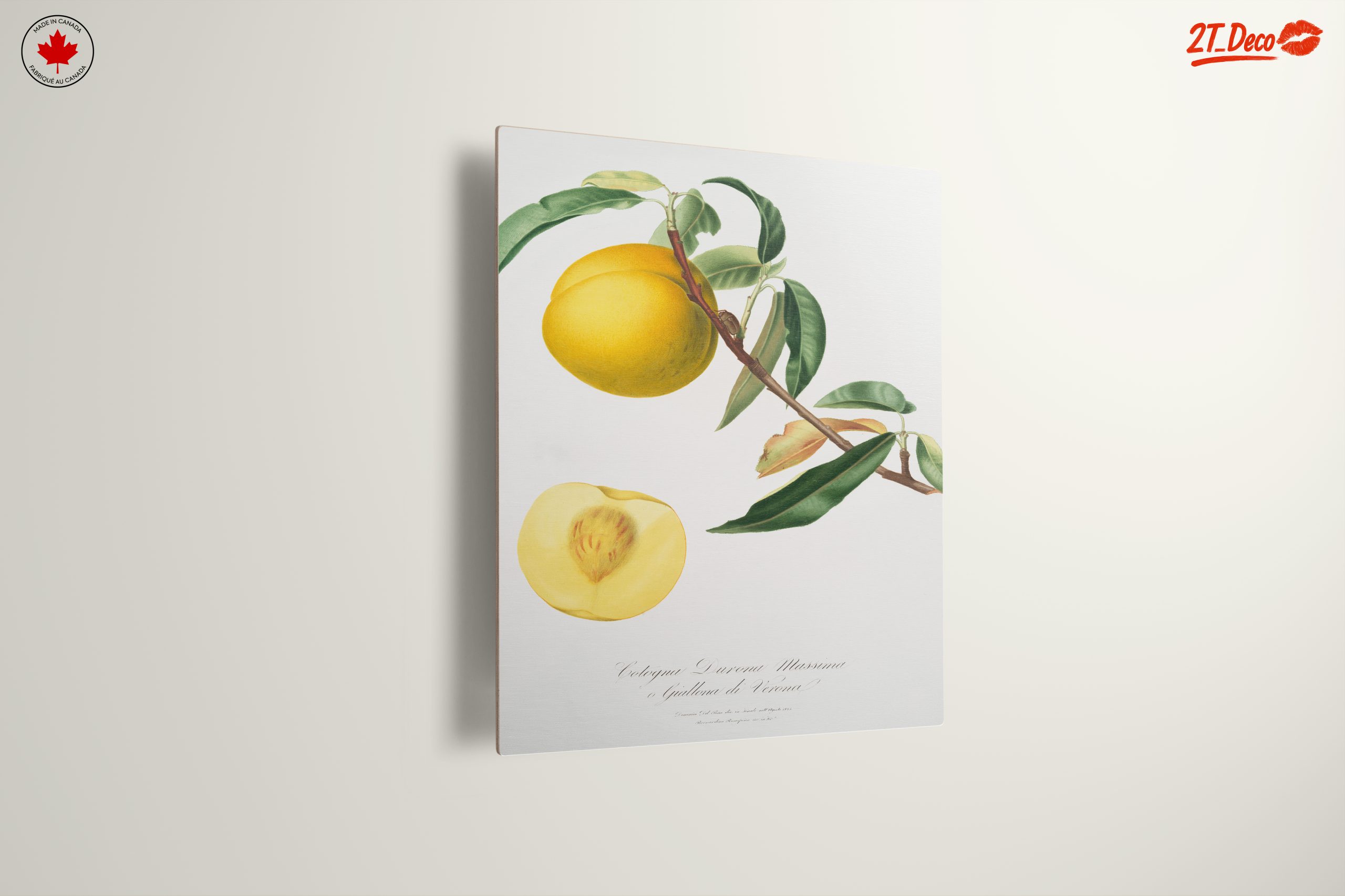 Botanical Fruit Illustration in Vibrant Colors - Image 13