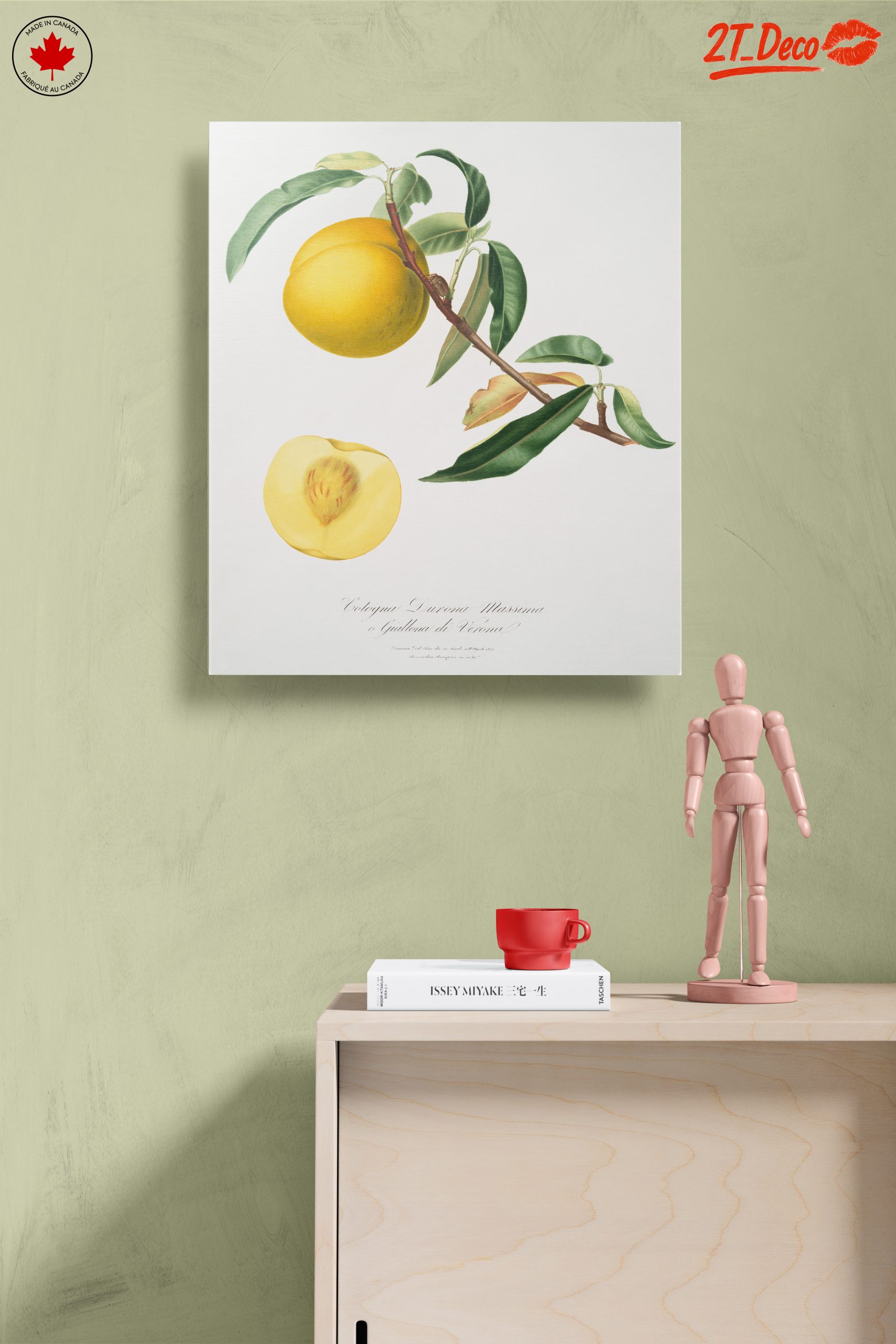 Botanical Fruit Illustration in Vibrant Colors - Image 14