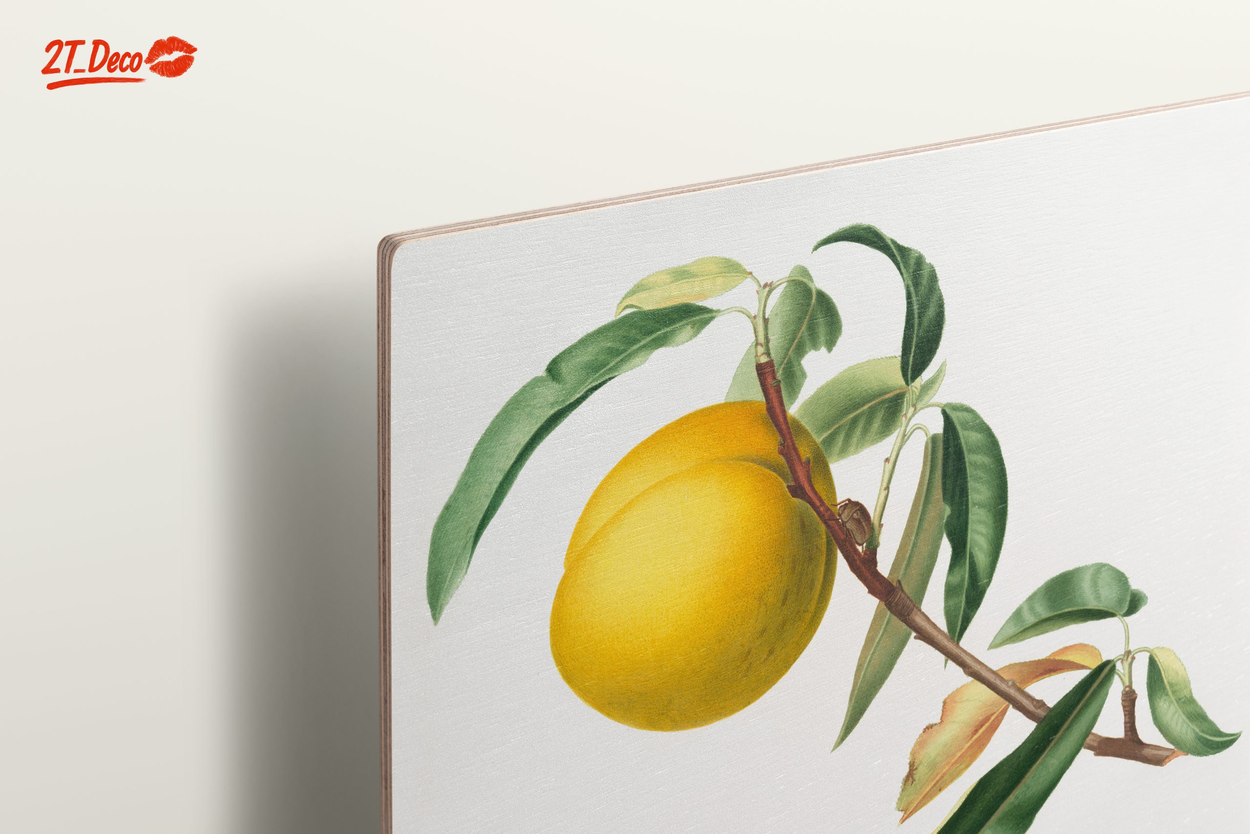 Botanical Fruit Illustration in Vibrant Colors - Image 15
