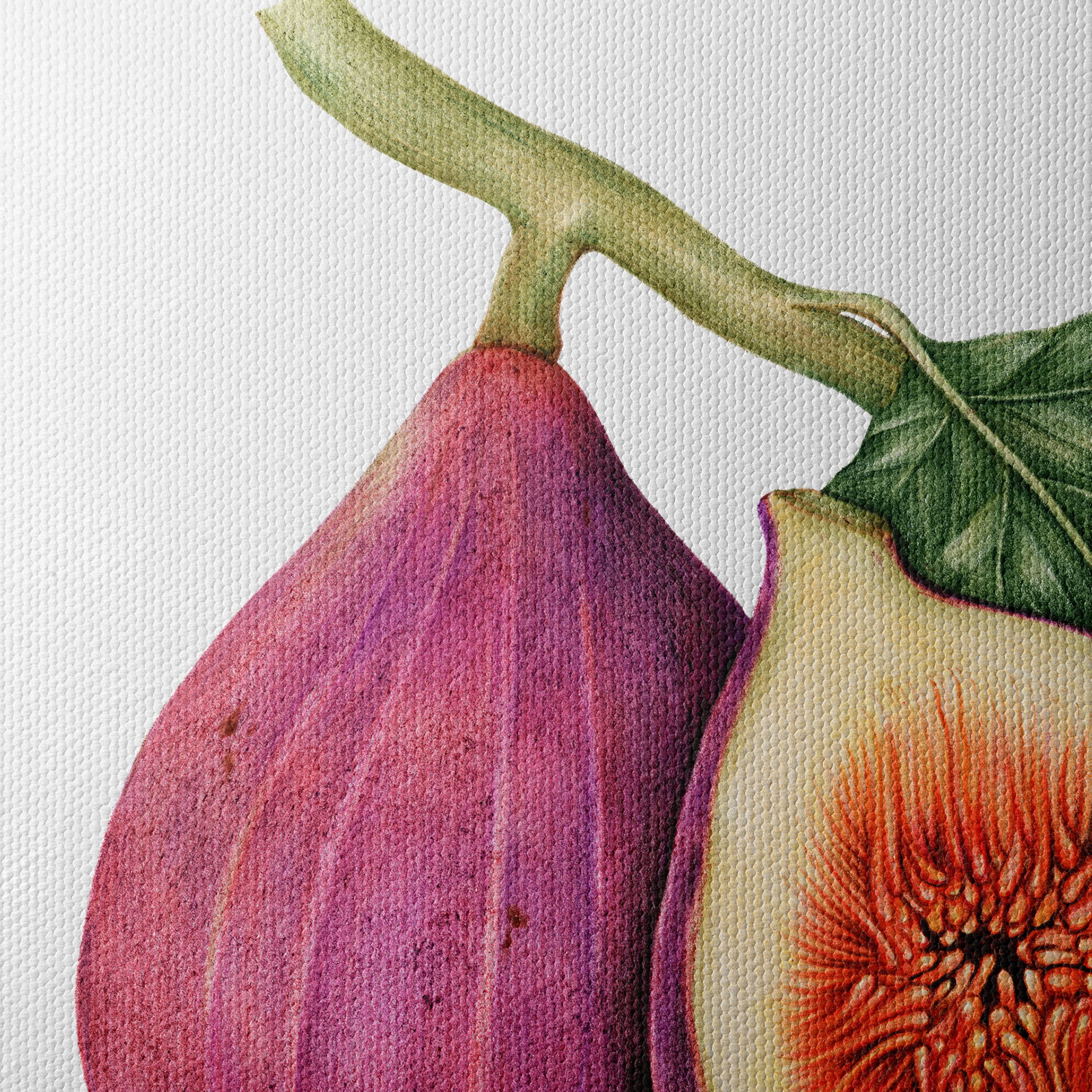 Vibrant Abstract Food Art of Figs - Image 4