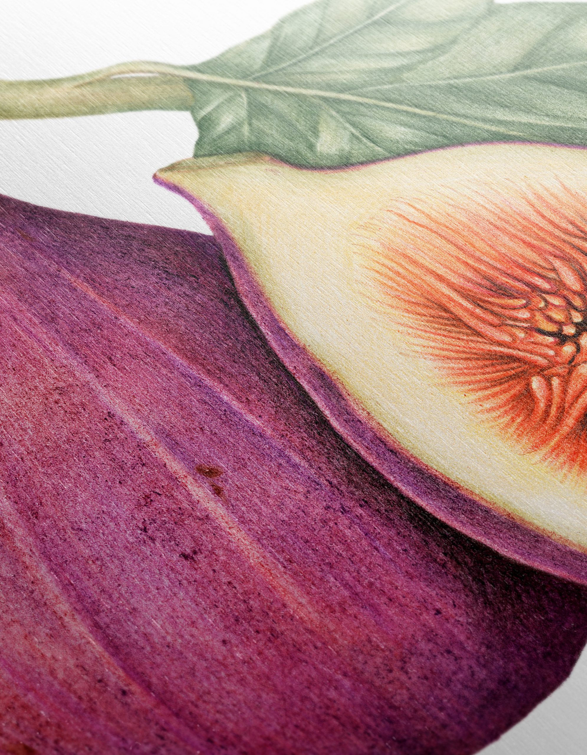 Vibrant Abstract Food Art of Figs - Image 12