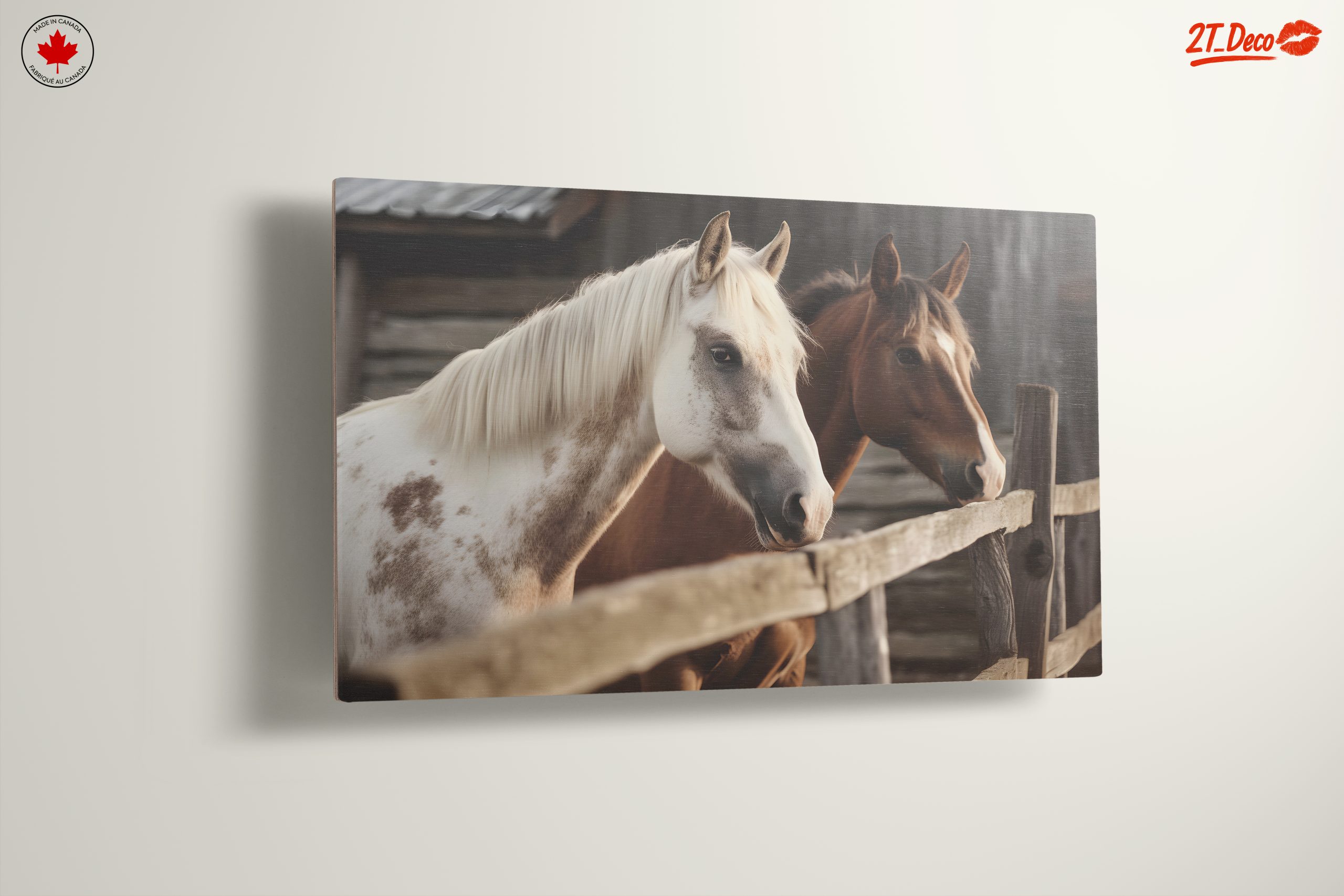 Beautiful Horses in a Rustic Setting - Image 13