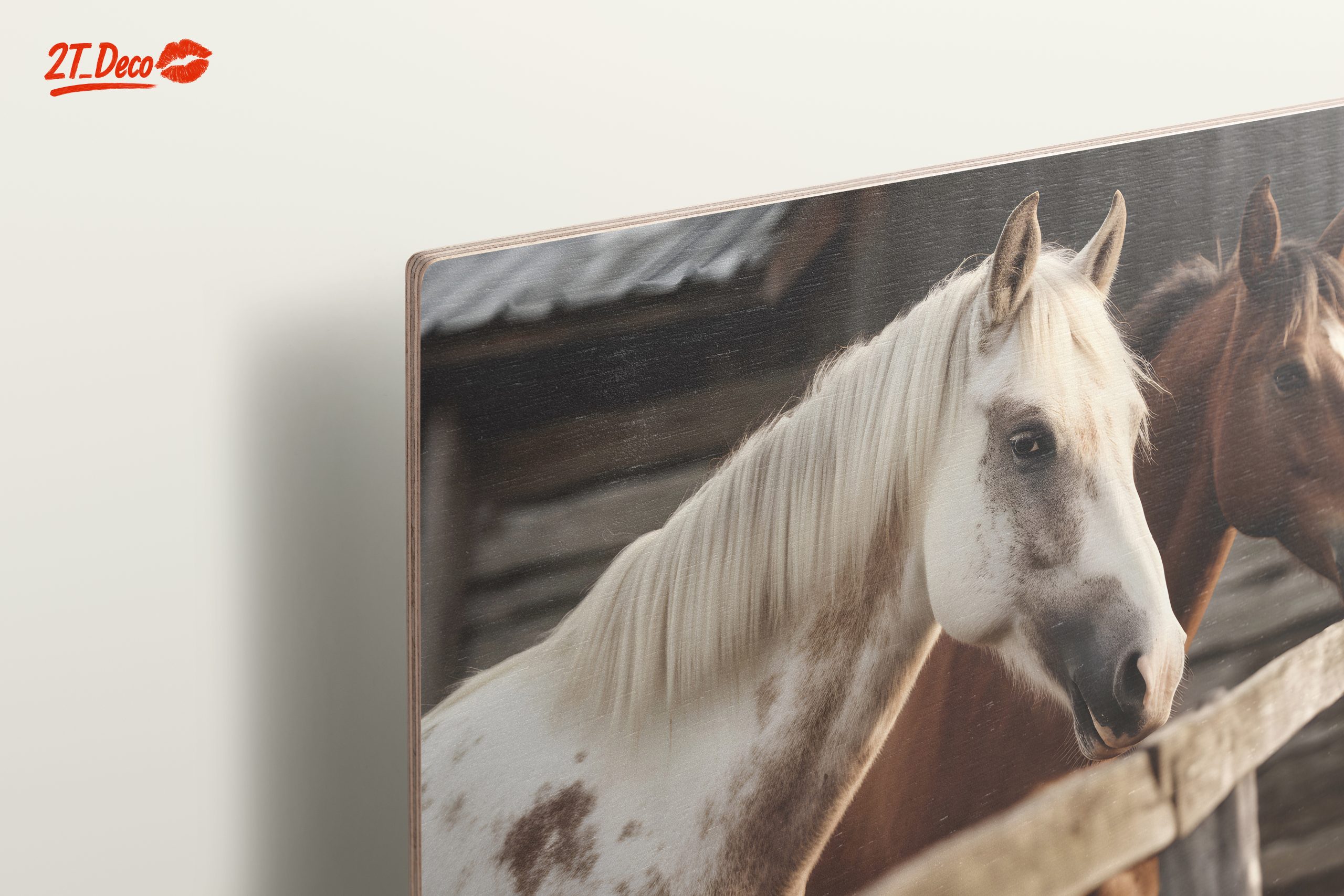 Beautiful Horses in a Rustic Setting - Image 15