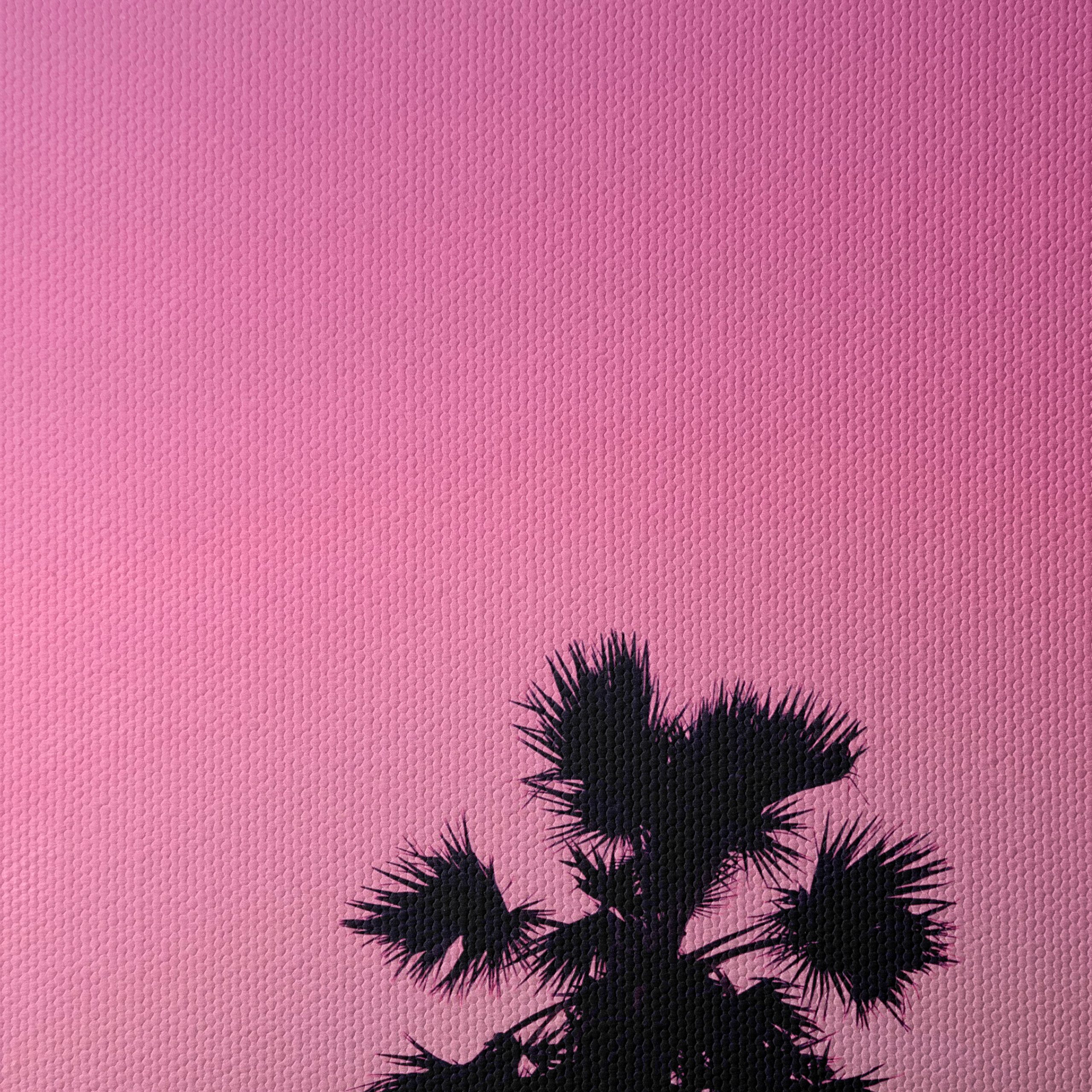 Palm Tree Silhouette Against Pink Sky - Image 4