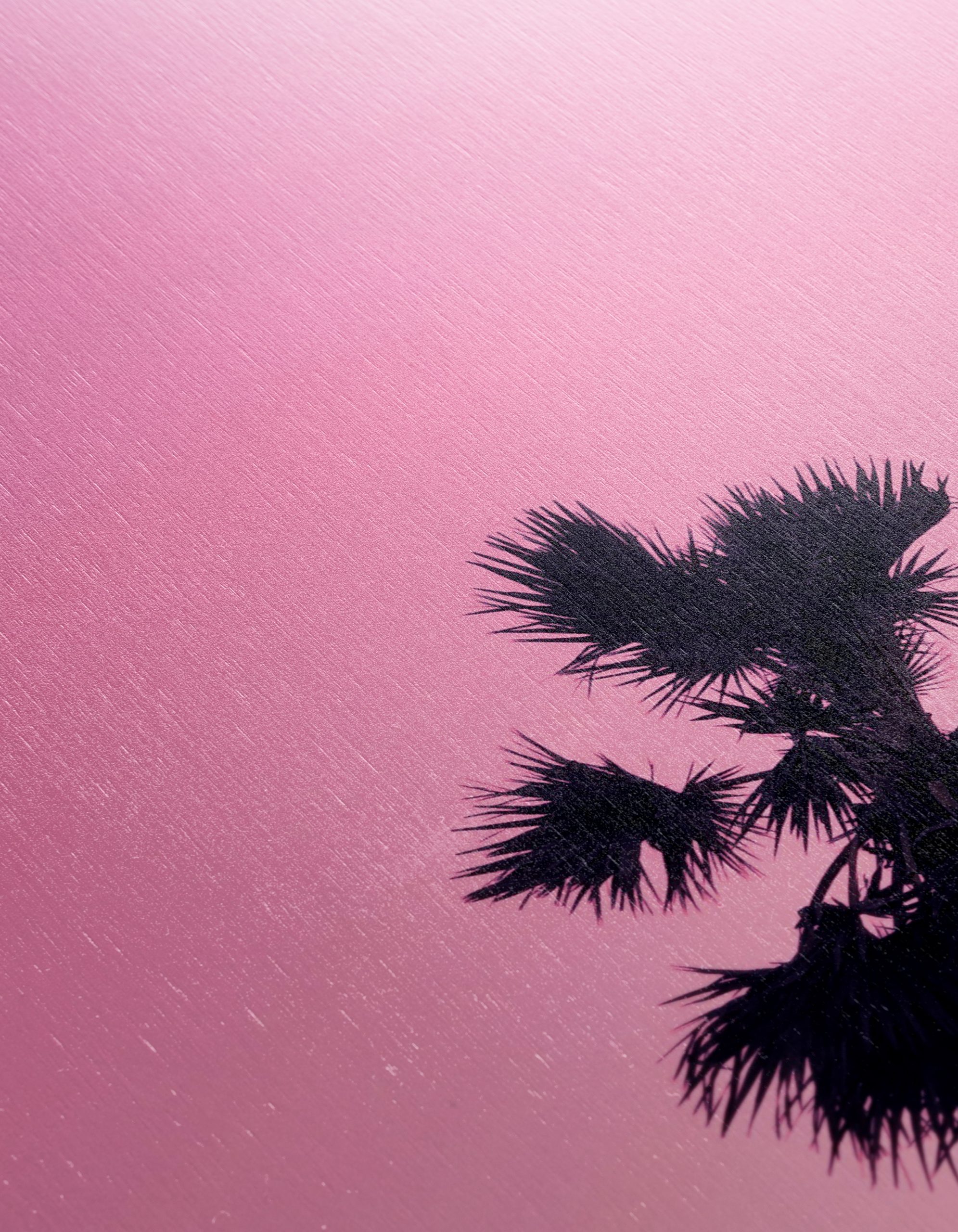 Palm Tree Silhouette Against Pink Sky - Image 12