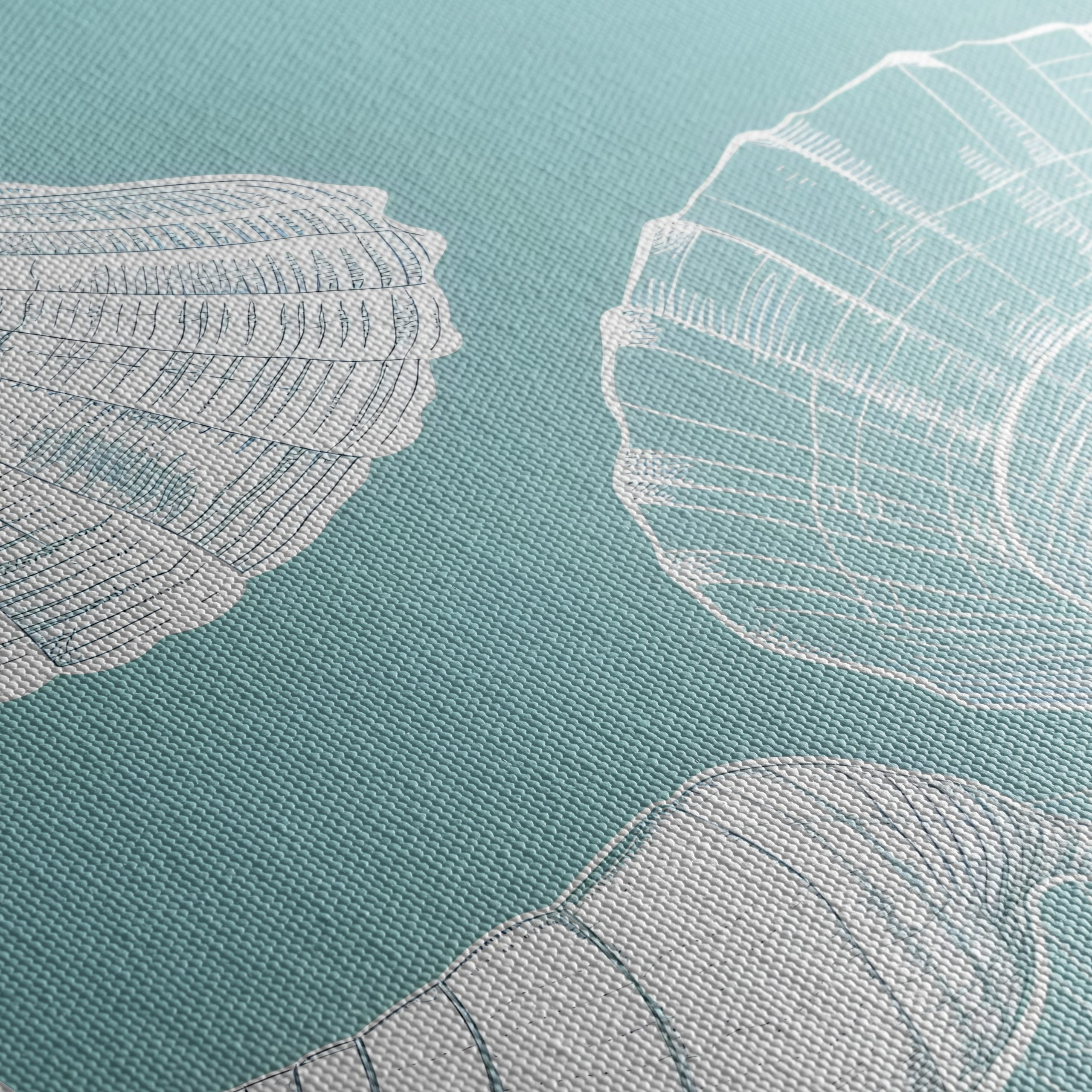 Abstract Seashell Composition on Blue - Image 5