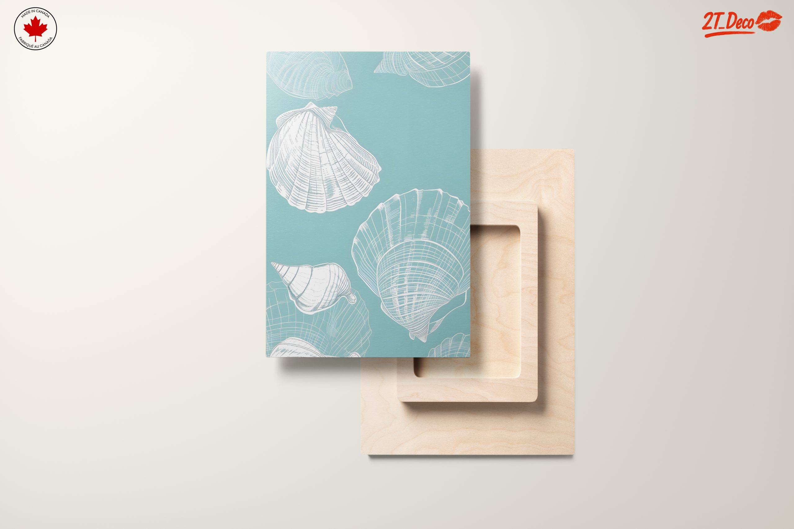Abstract Seashell Composition on Blue - Image 11