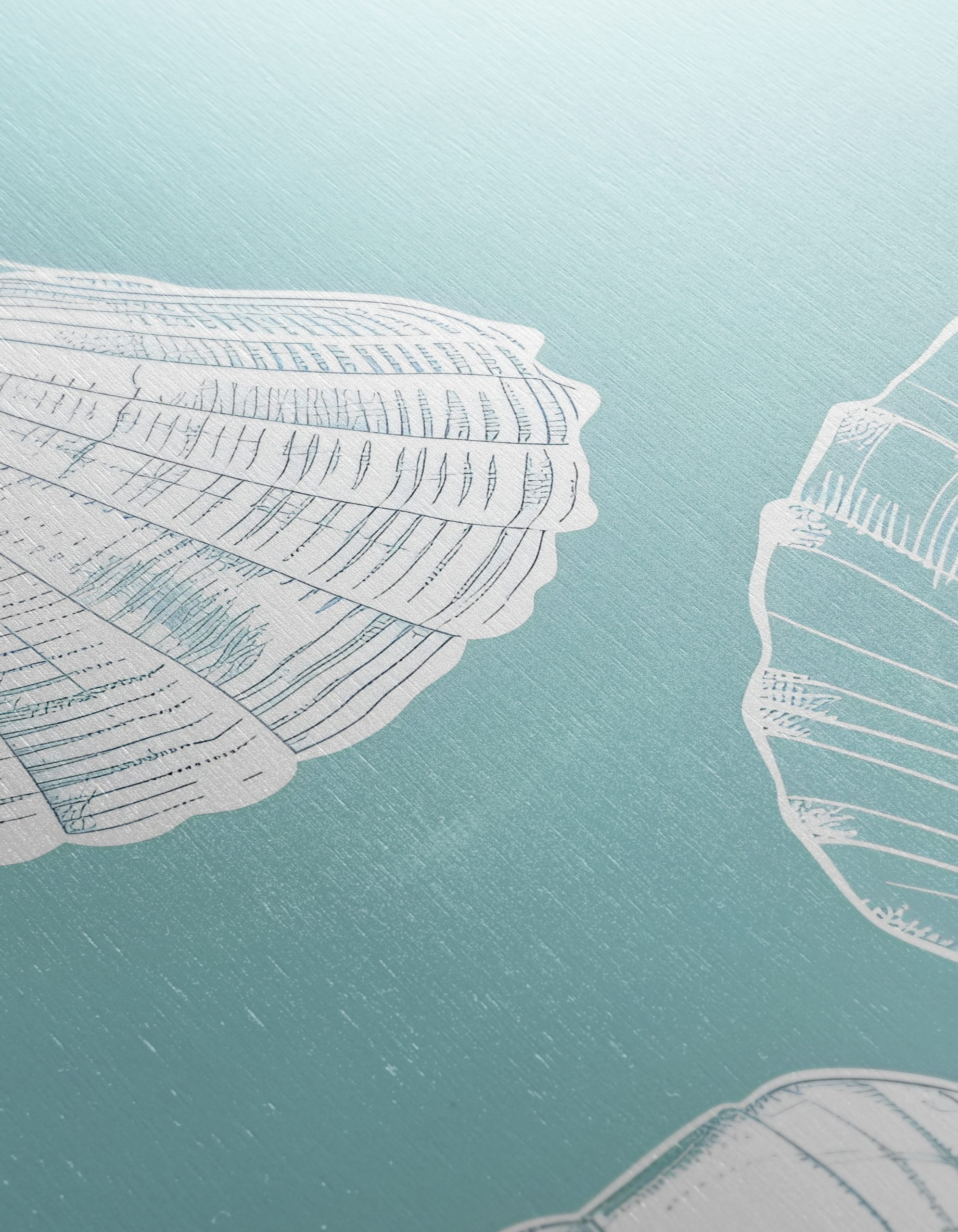 Abstract Seashell Composition on Blue - Image 12