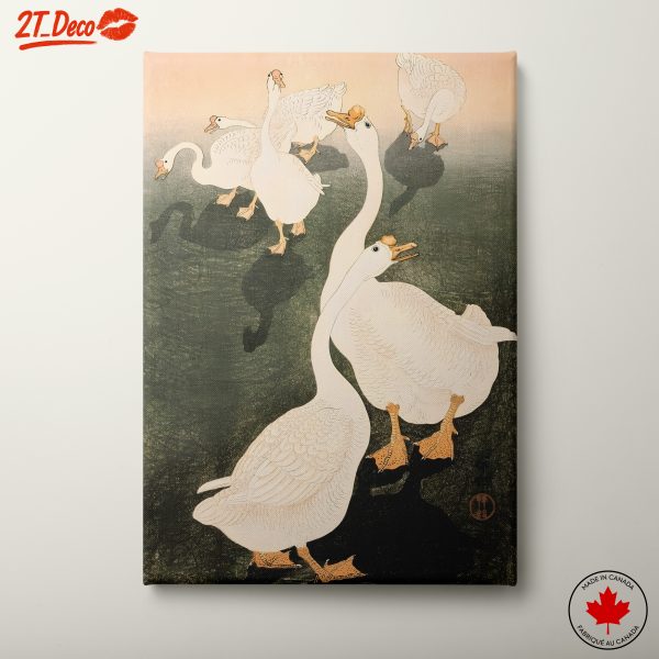 Elegant Ducks in Tranquil Setting