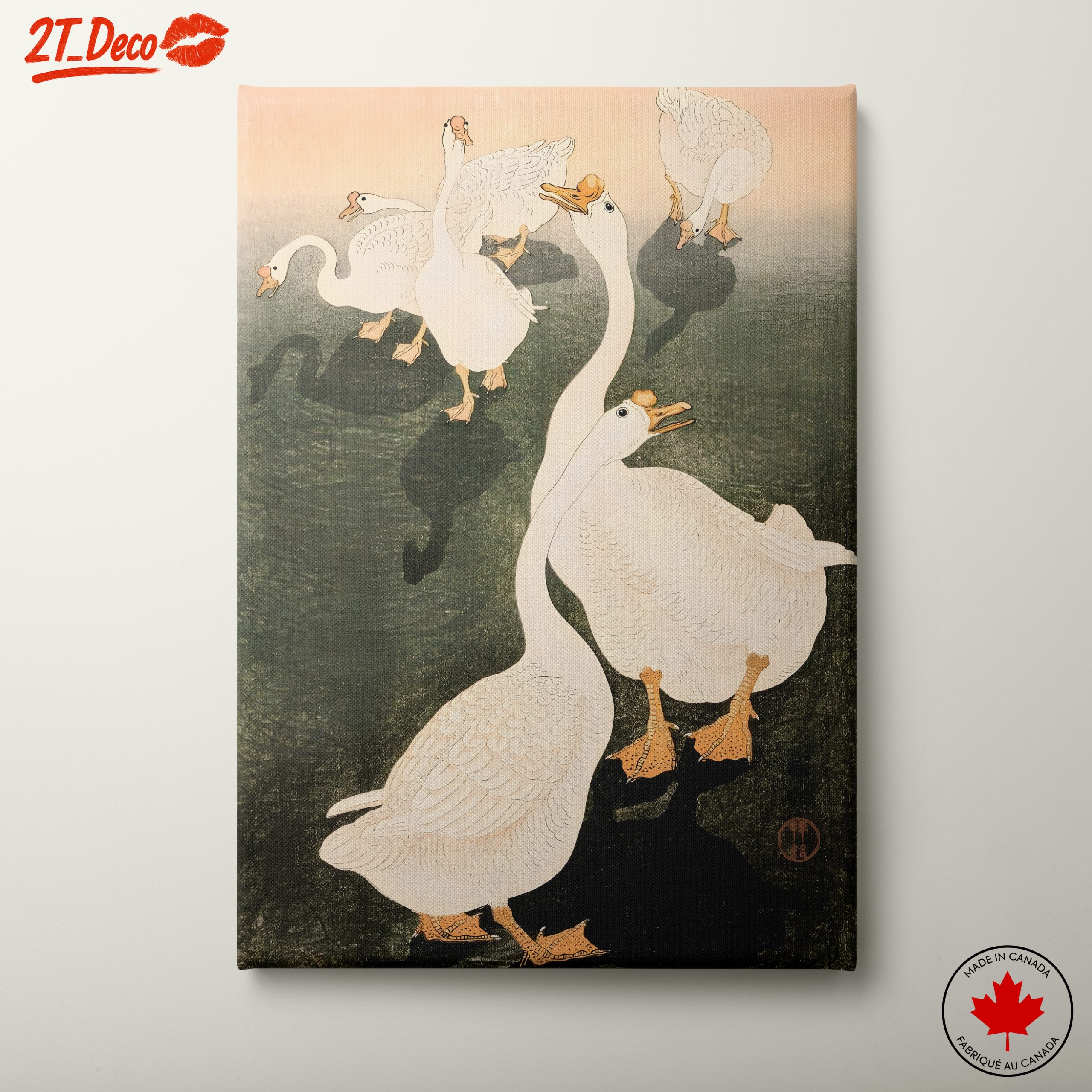 Elegant Ducks in Tranquil Setting