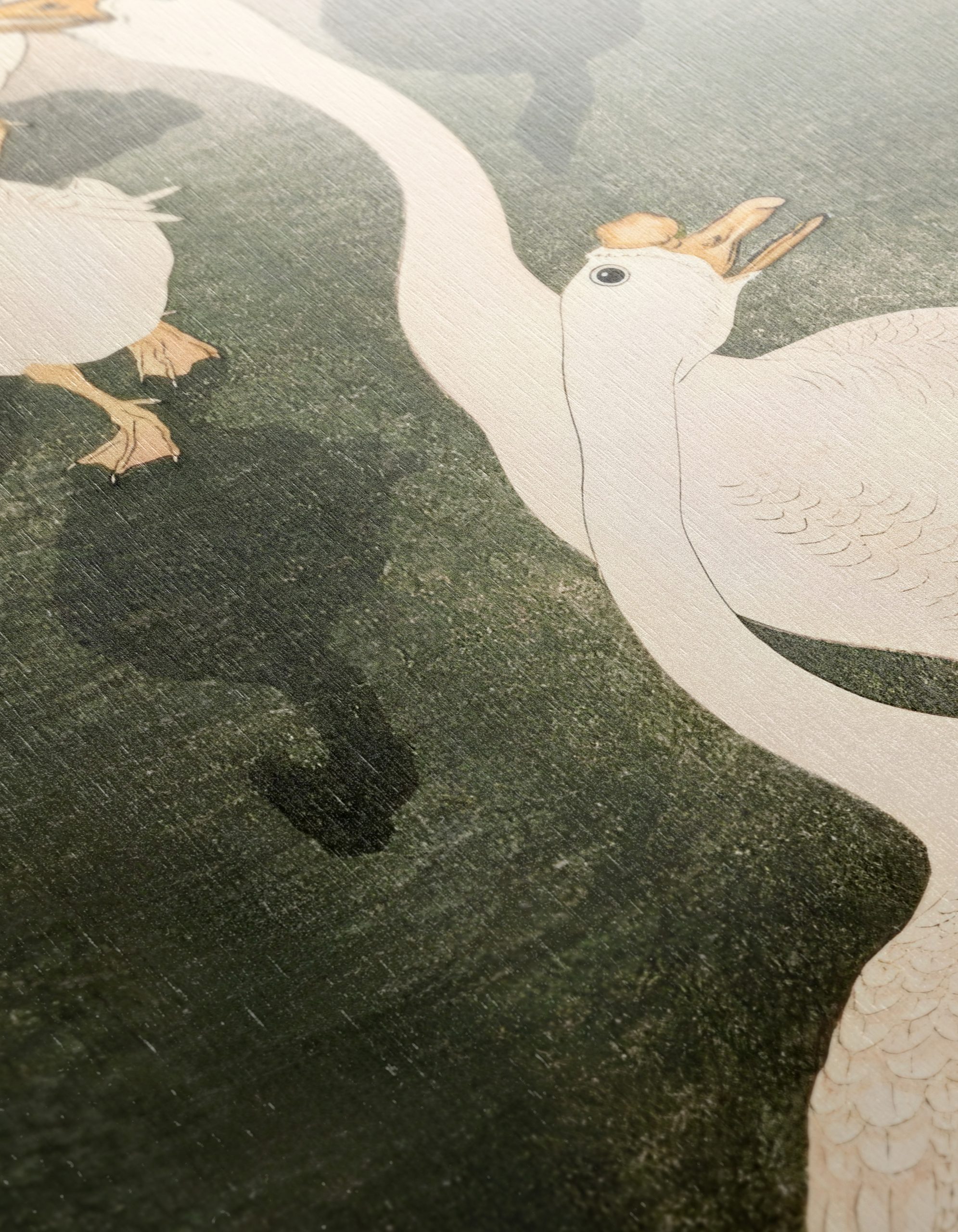 Elegant Ducks in Tranquil Setting - Image 12