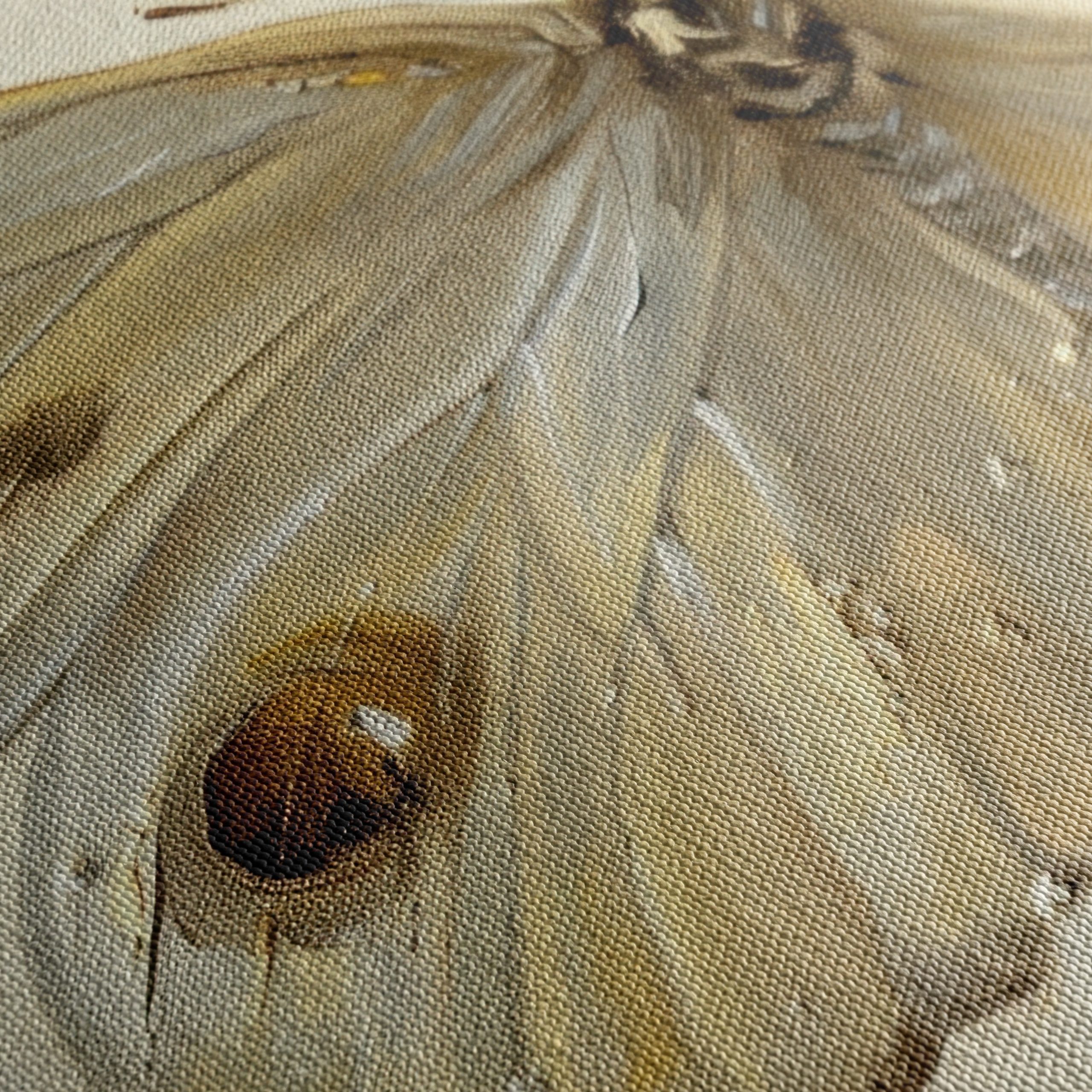 Elegant Butterfly Wall Art 2 - Image 5