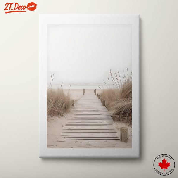 Calm Beach Pathway Scene