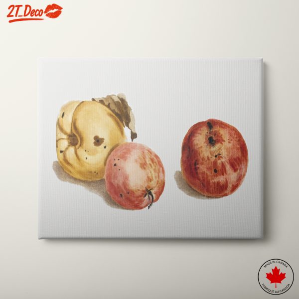 Stylized Abstract Food Still Life