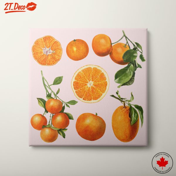 Abstract Food Illustration of Oranges