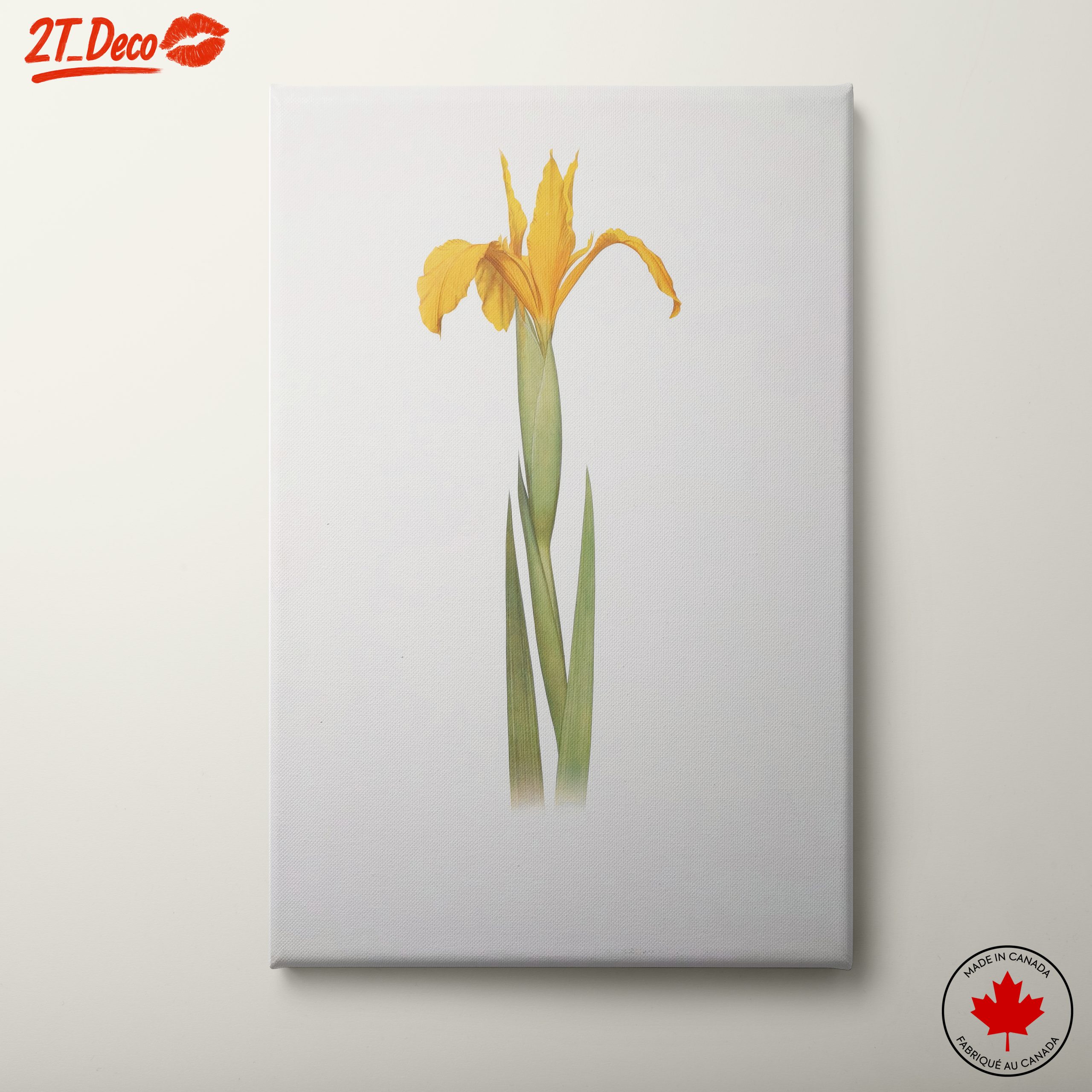 Yellow Iris Flower Botanical Art
